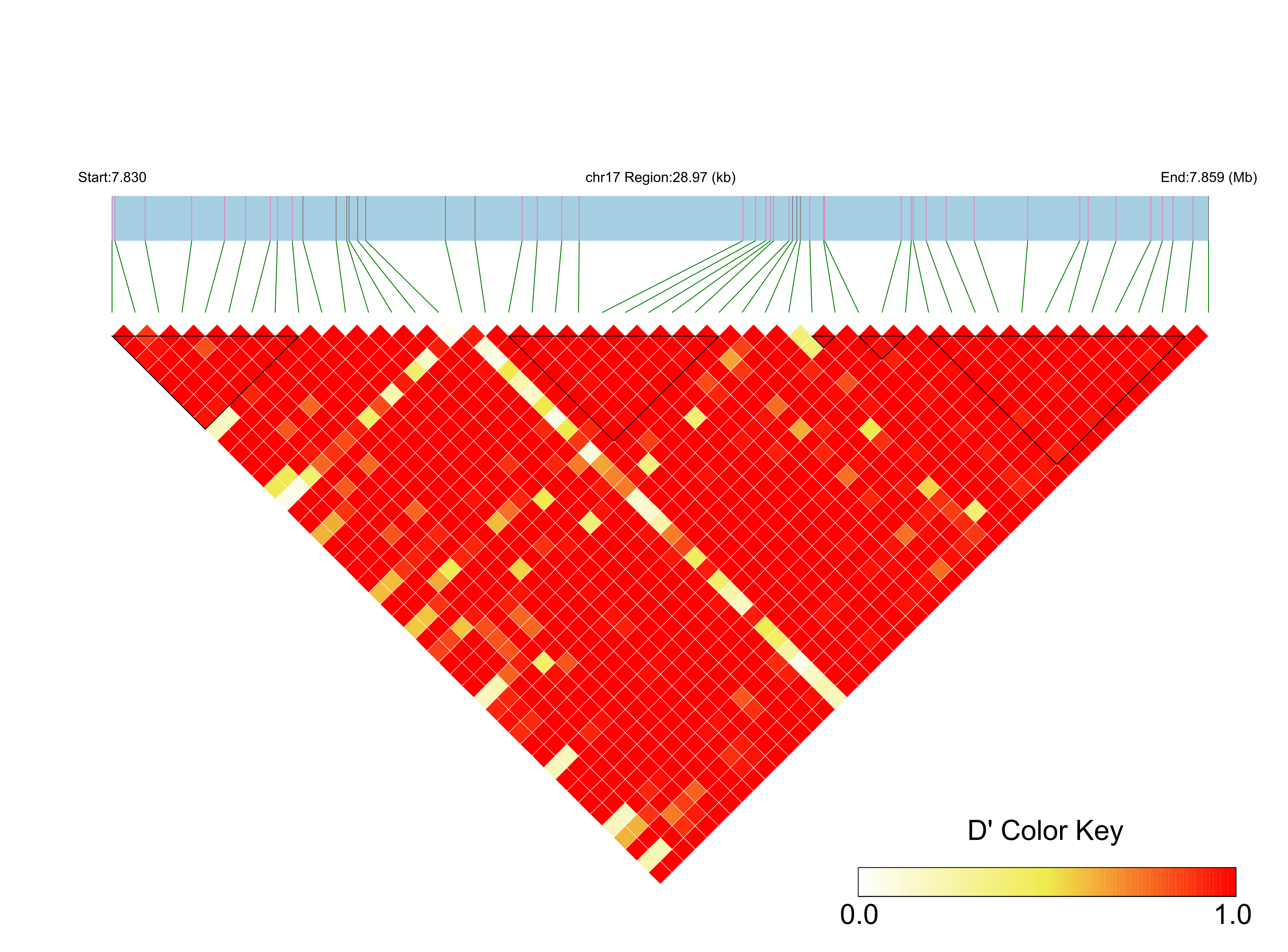 LD