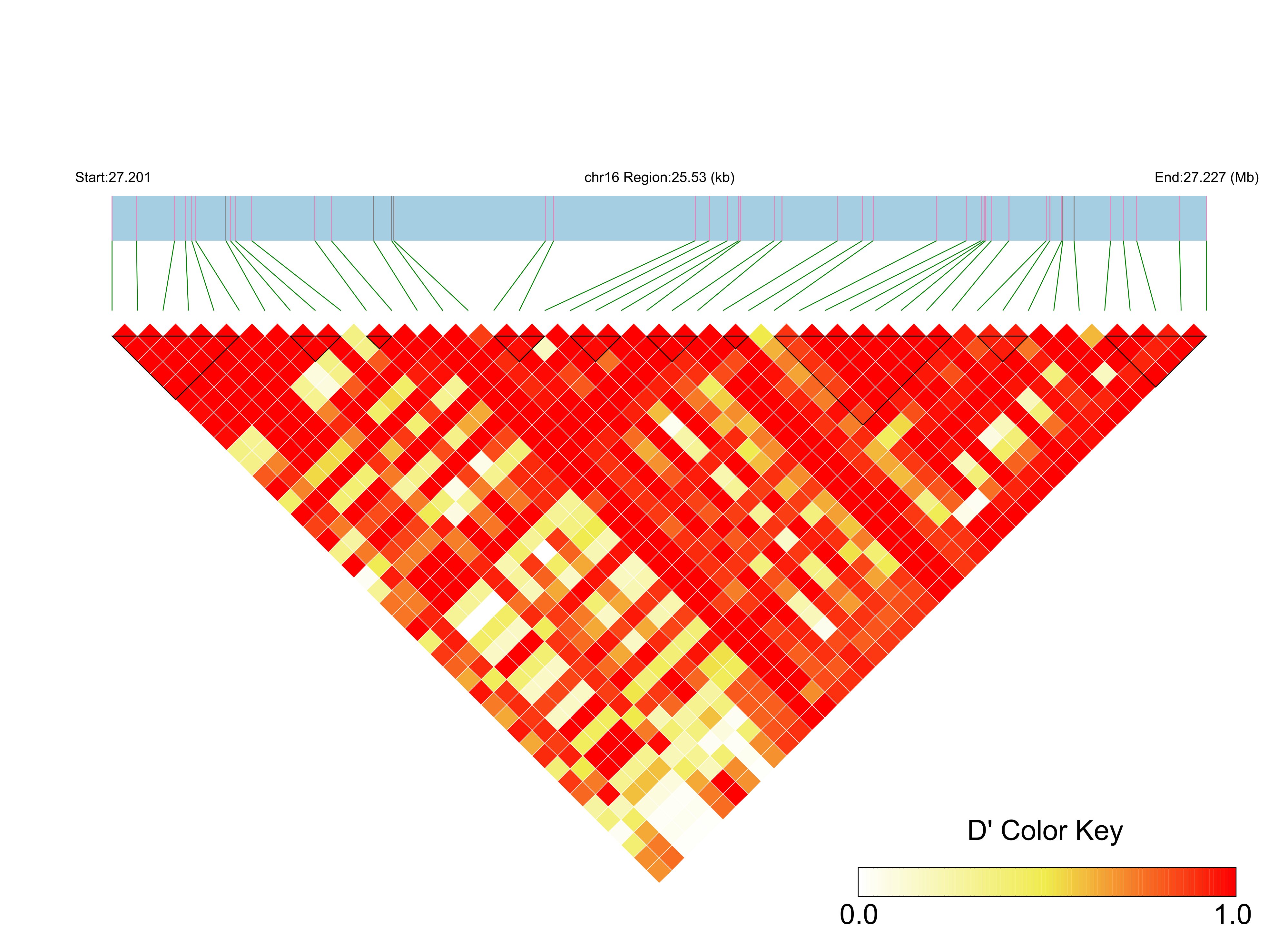 LD