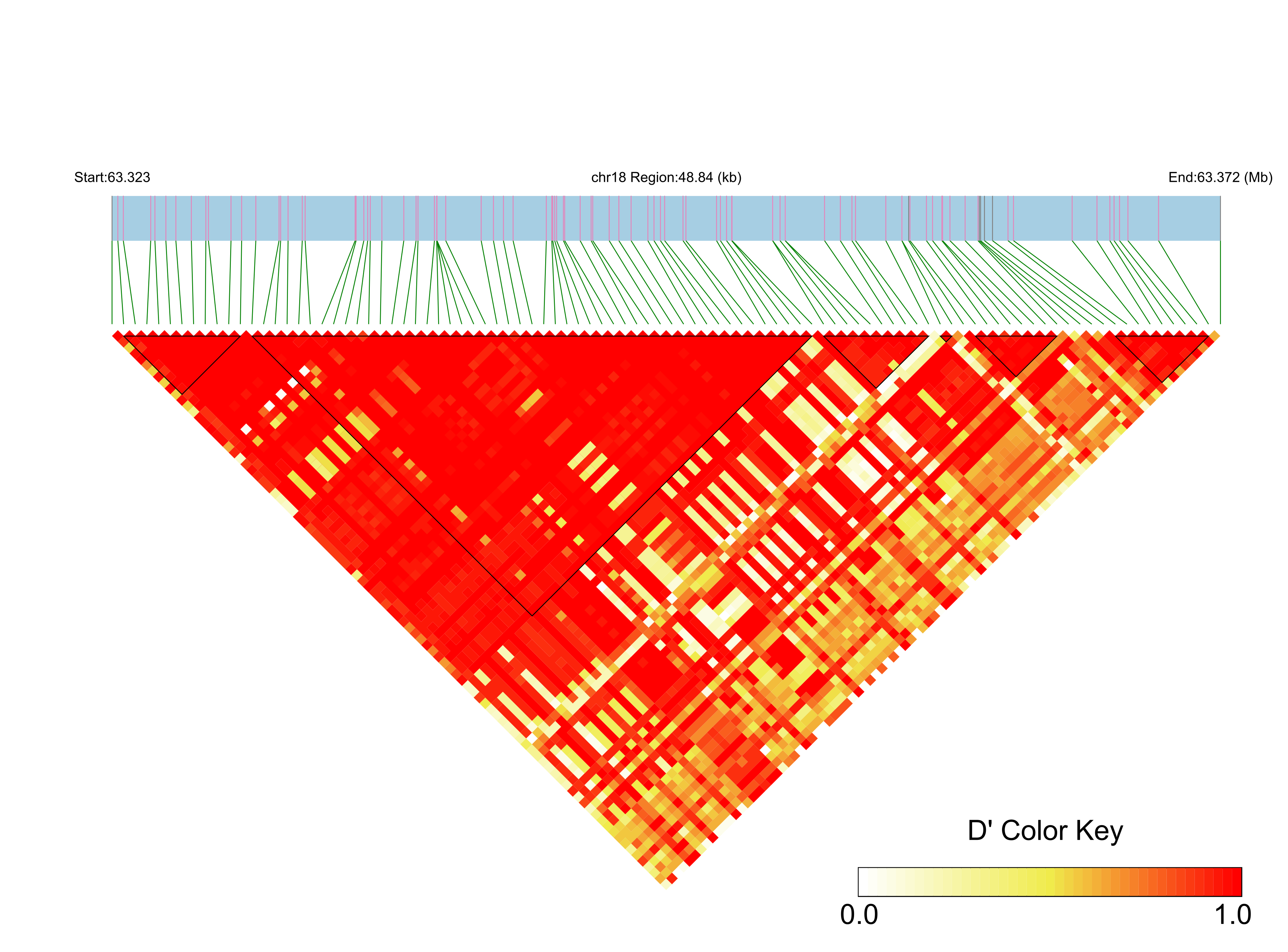 LD