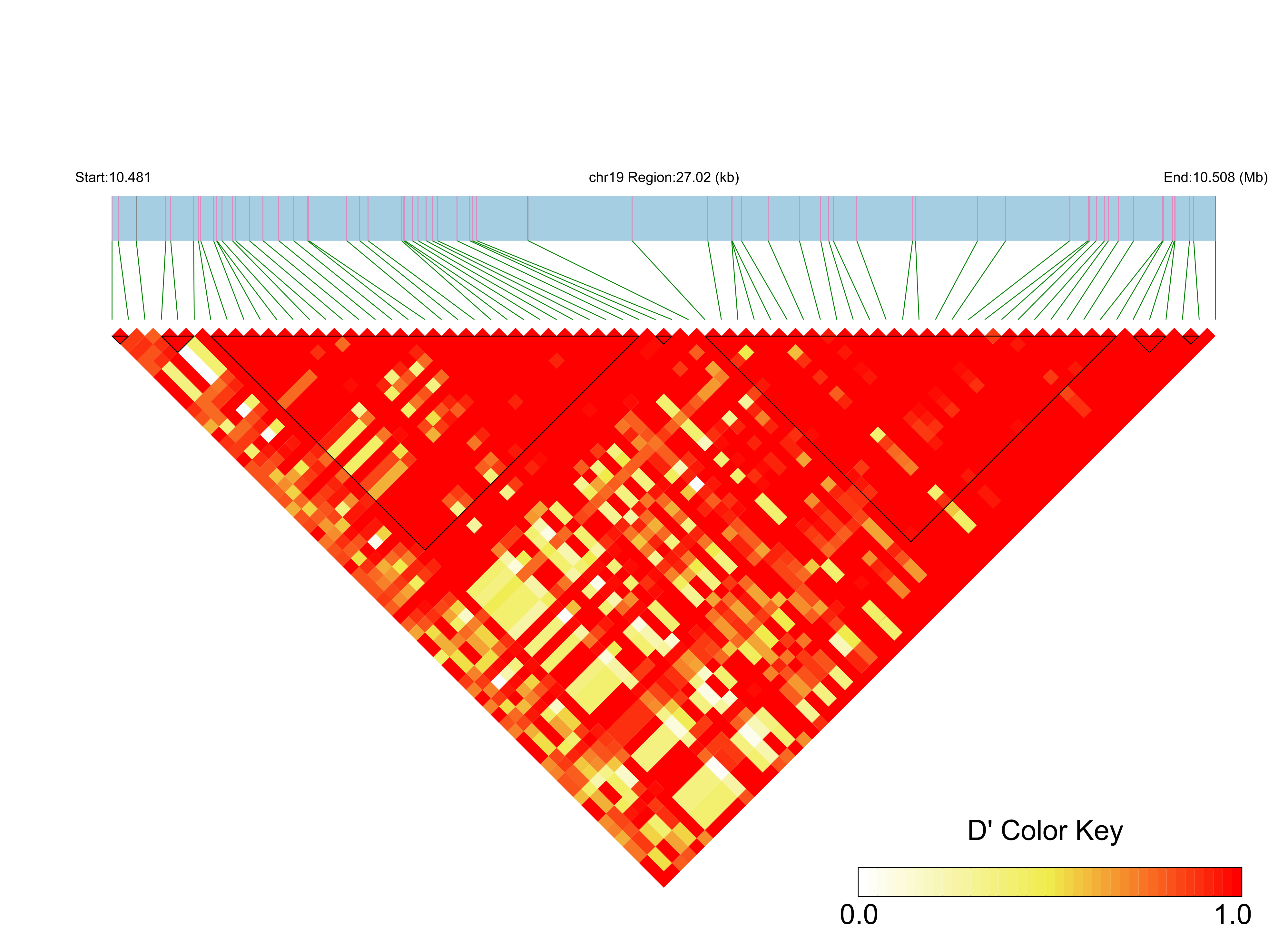 LD