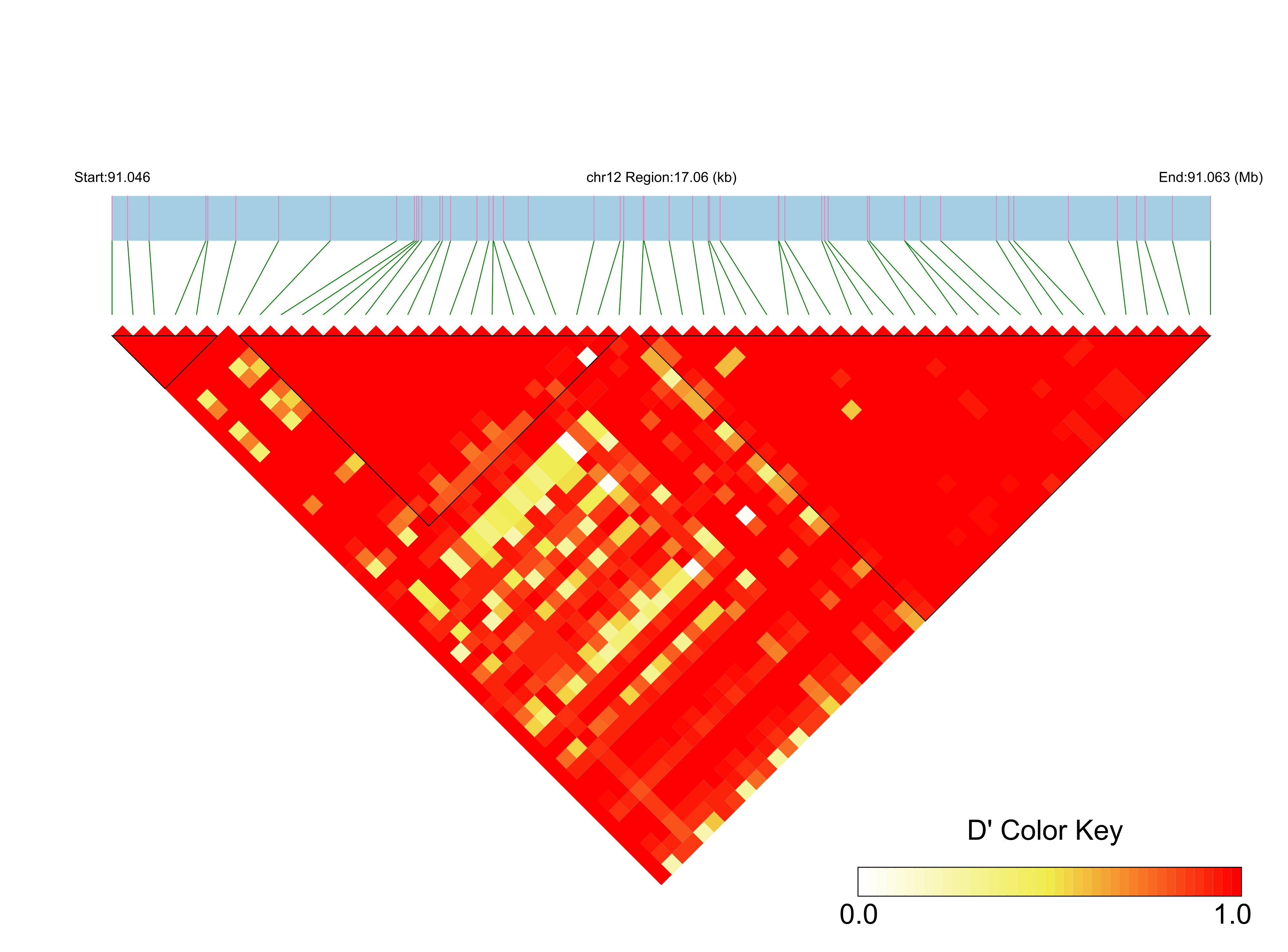 LD