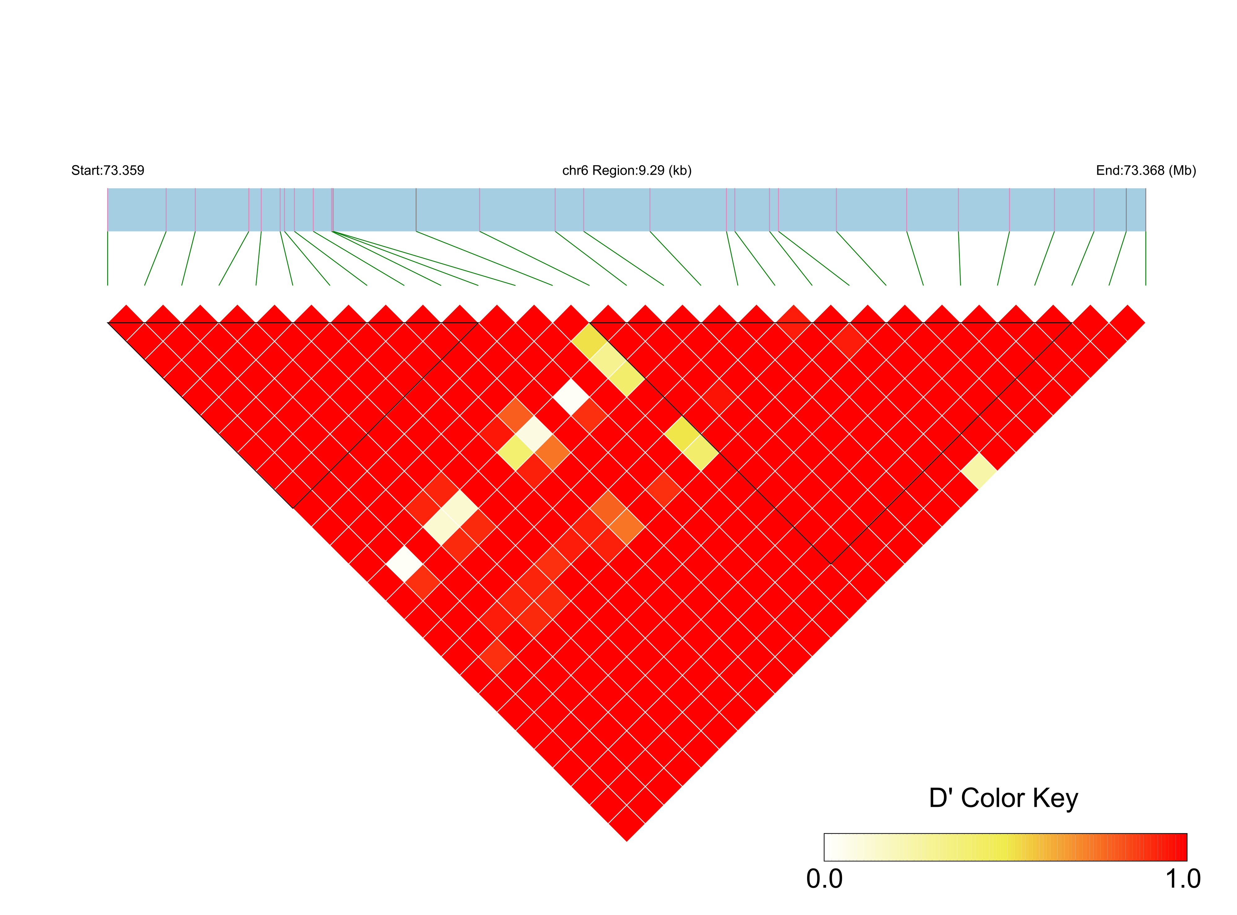 LD