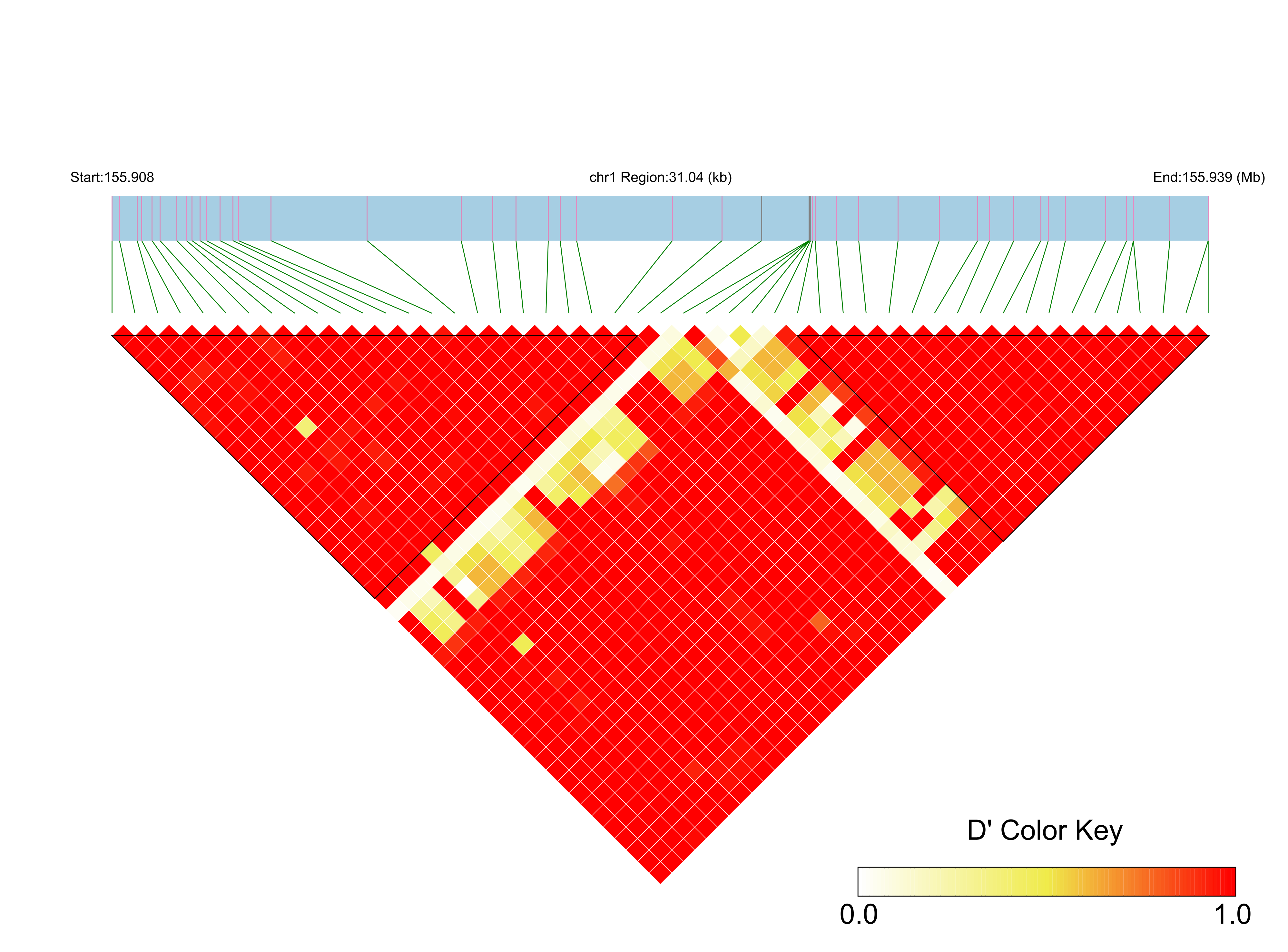 LD