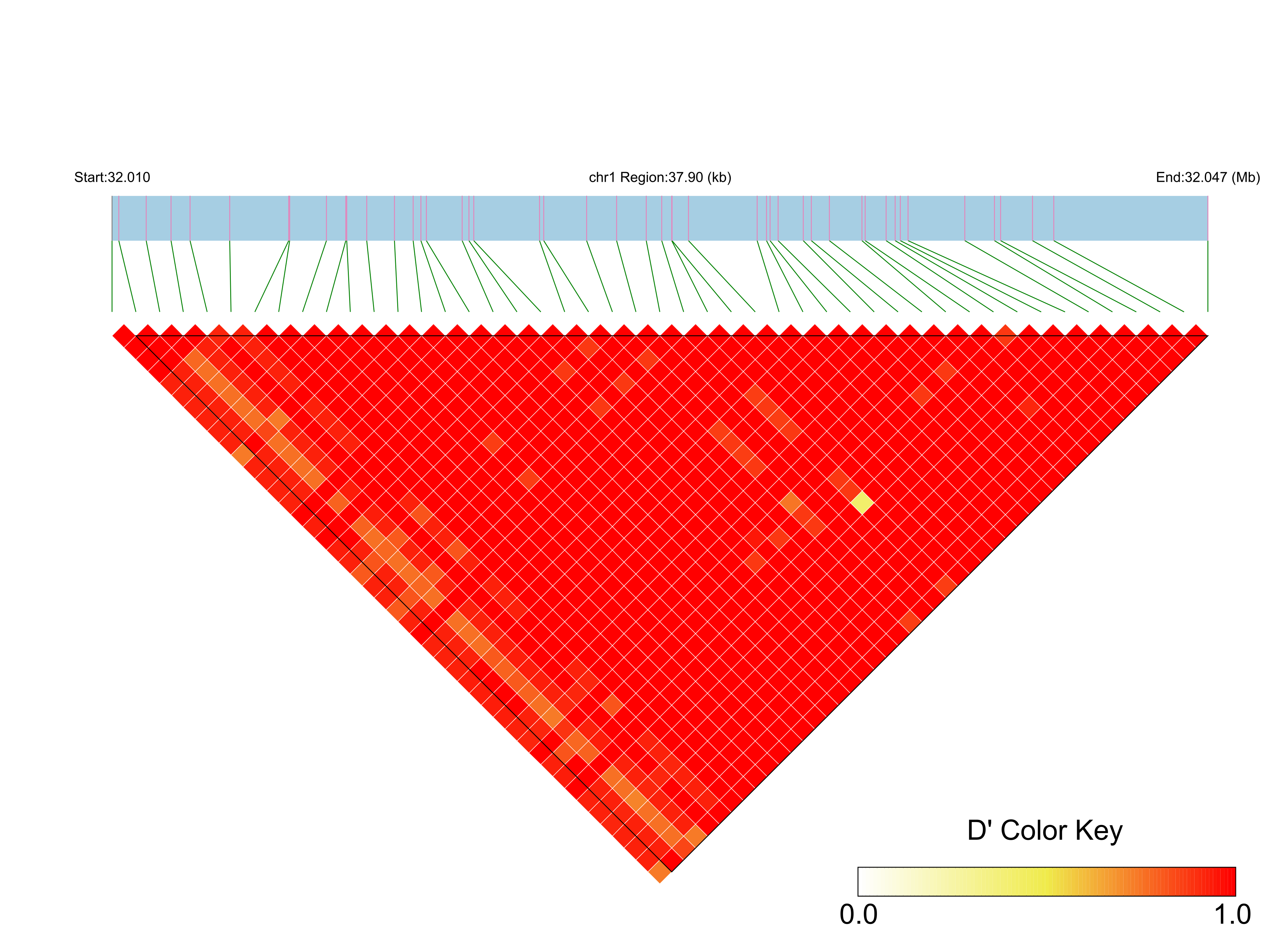 LD
