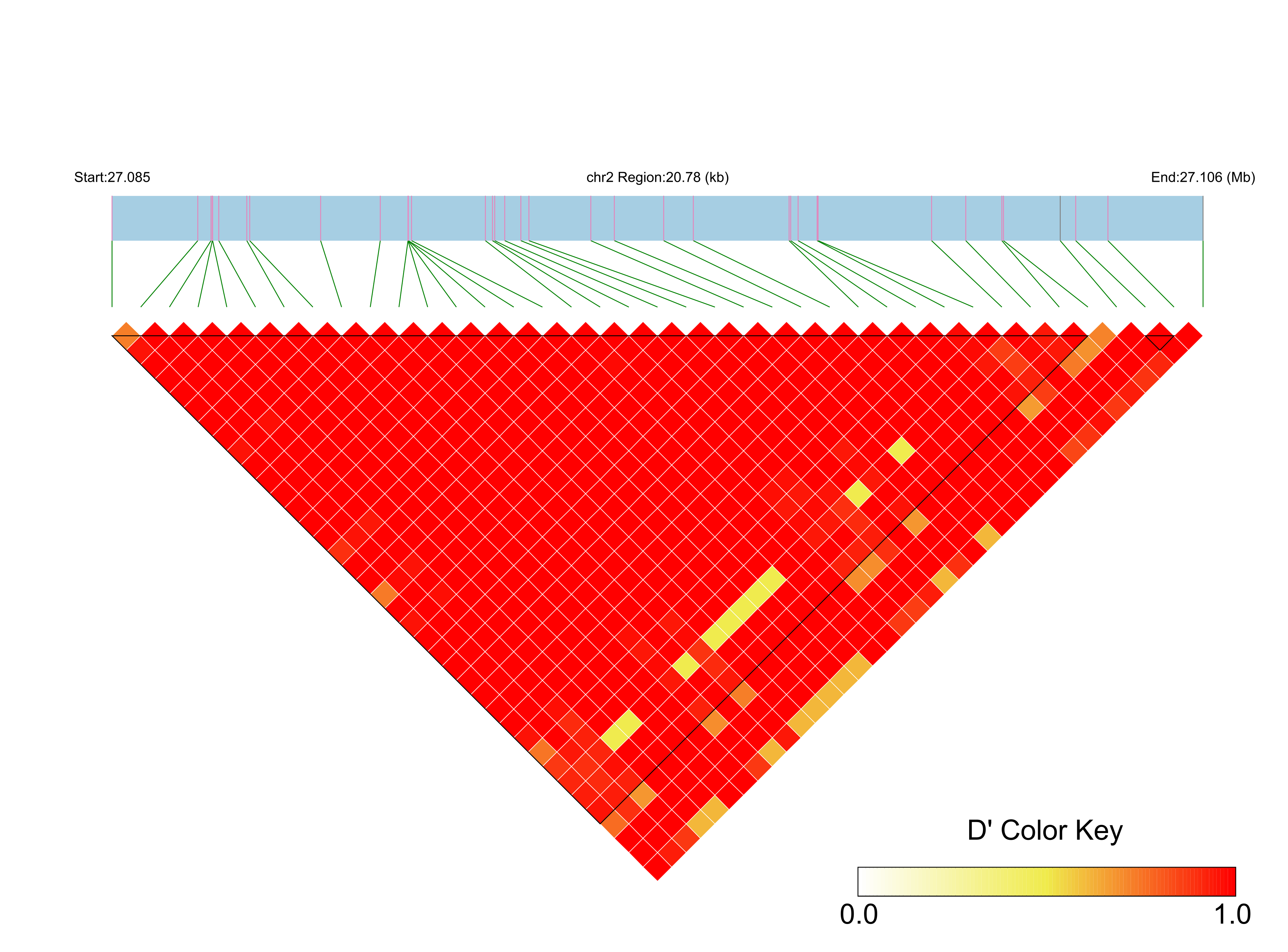 LD
