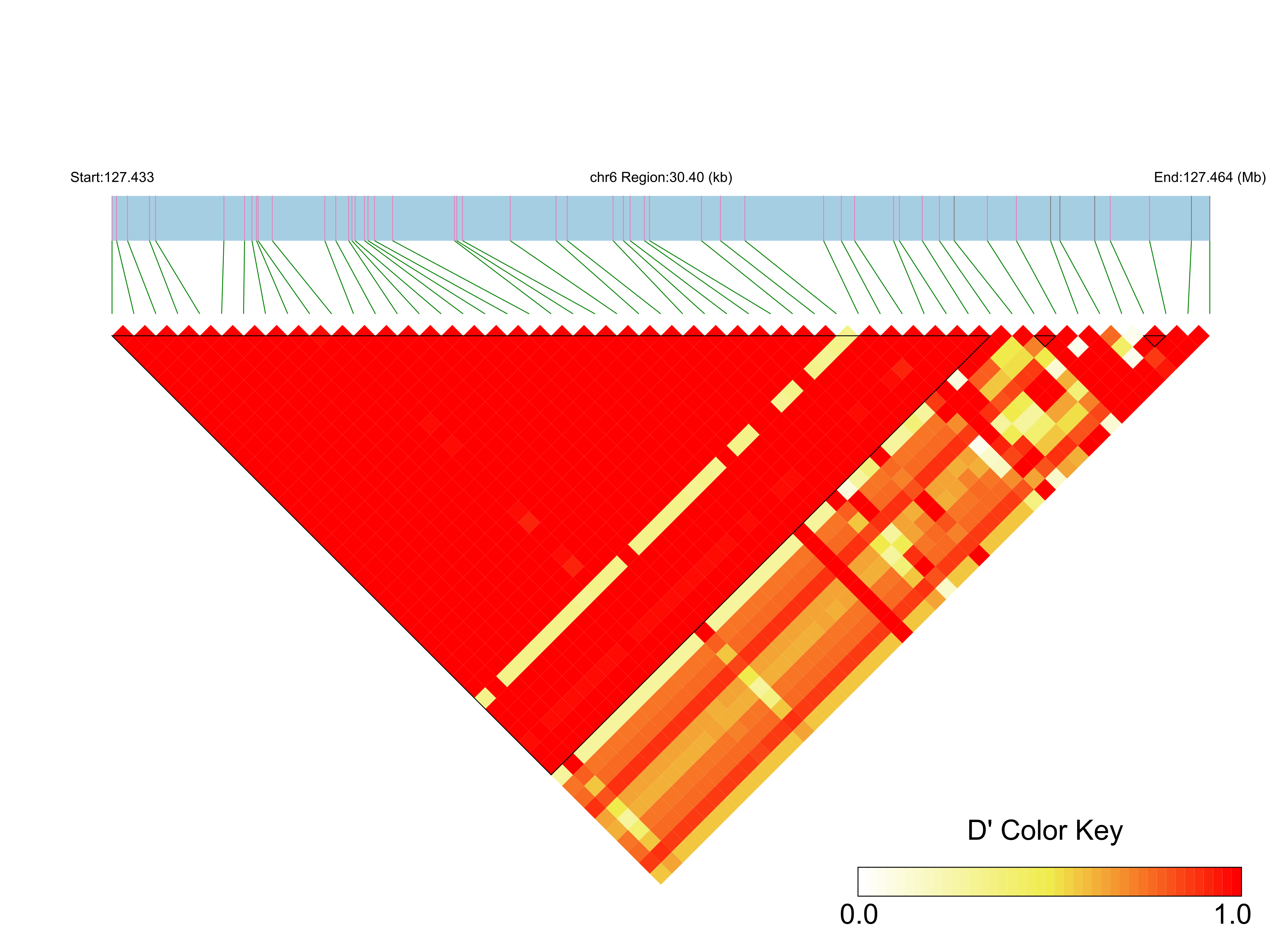 LD