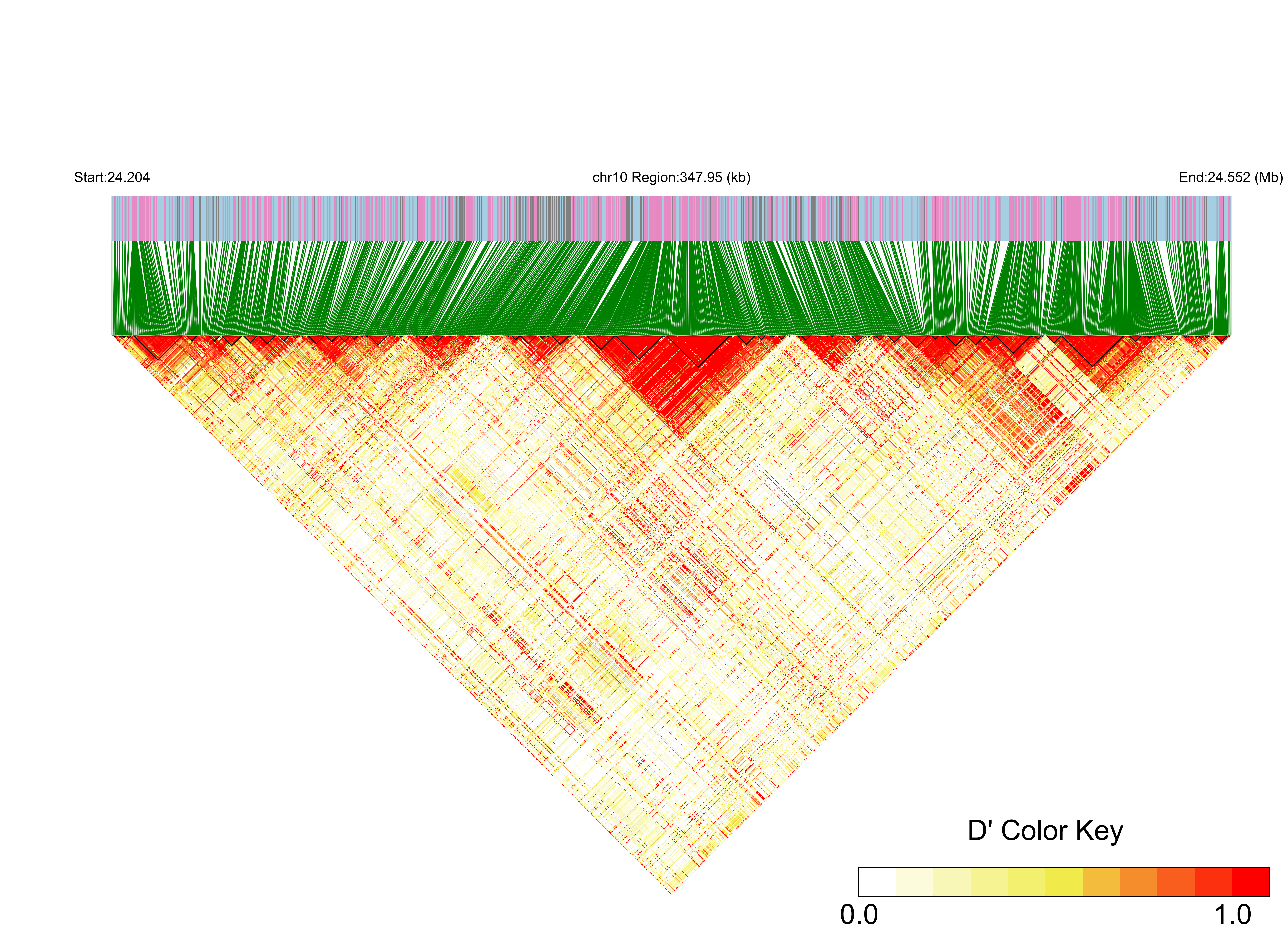 LD