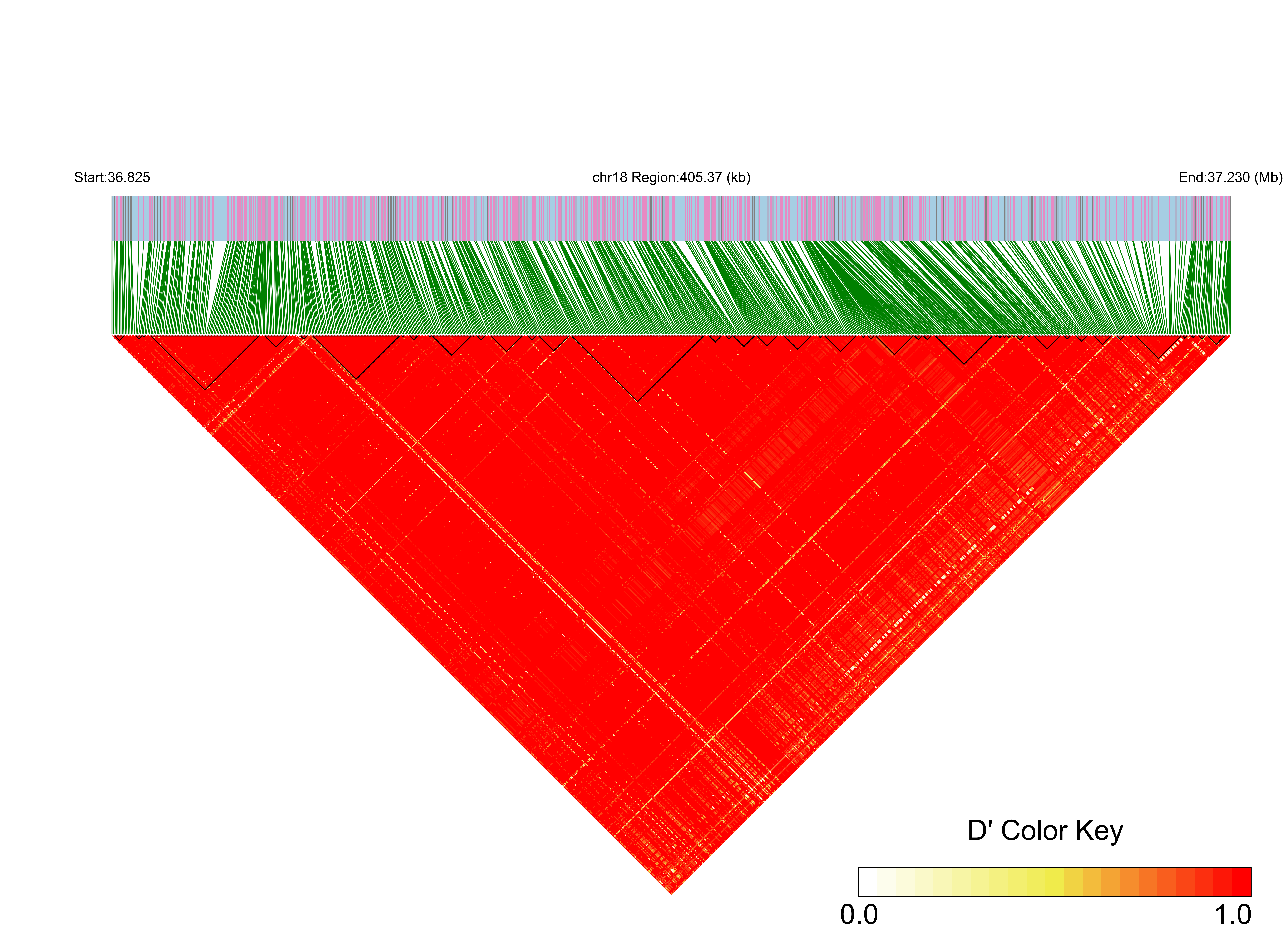LD