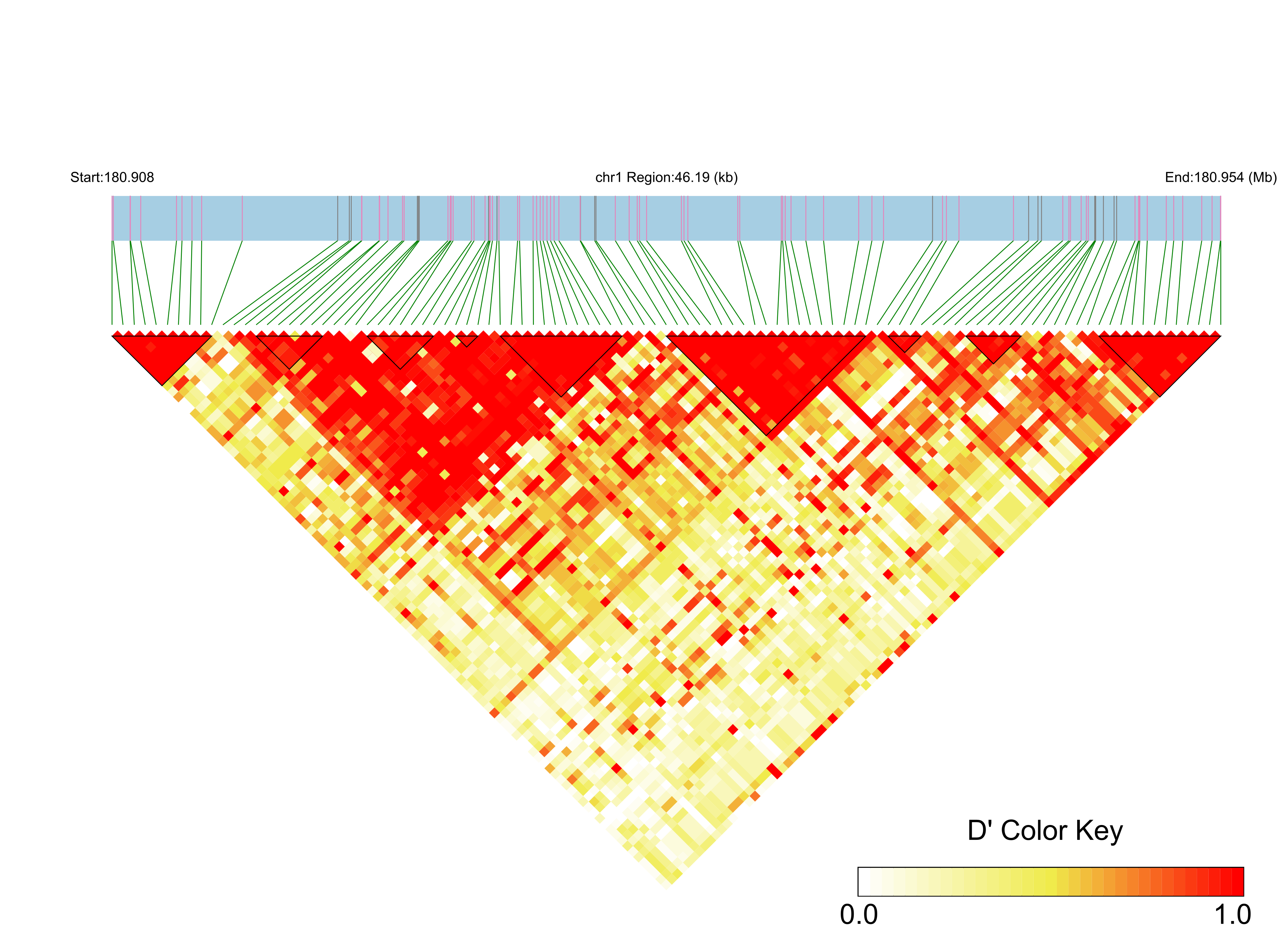 LD