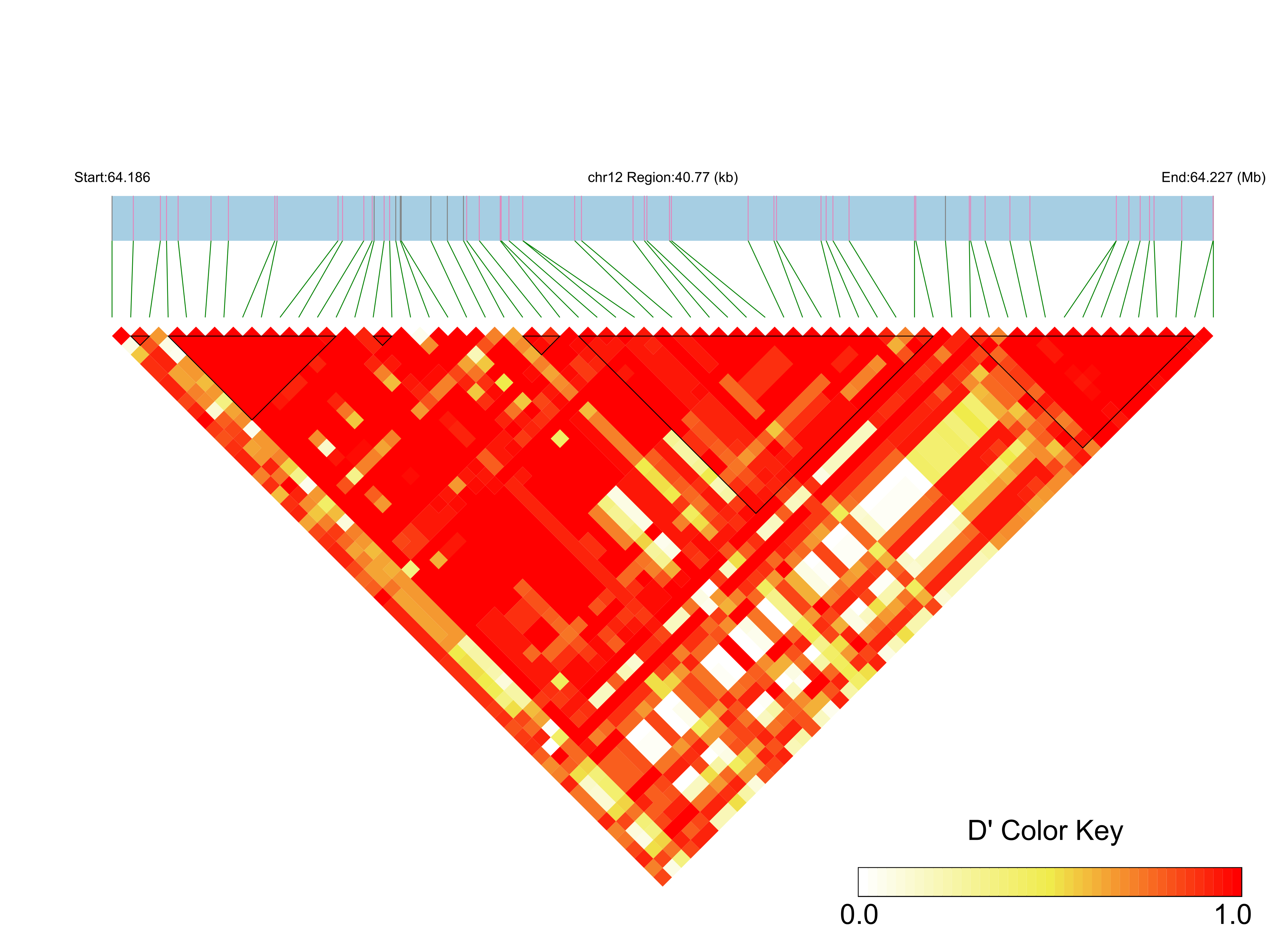LD