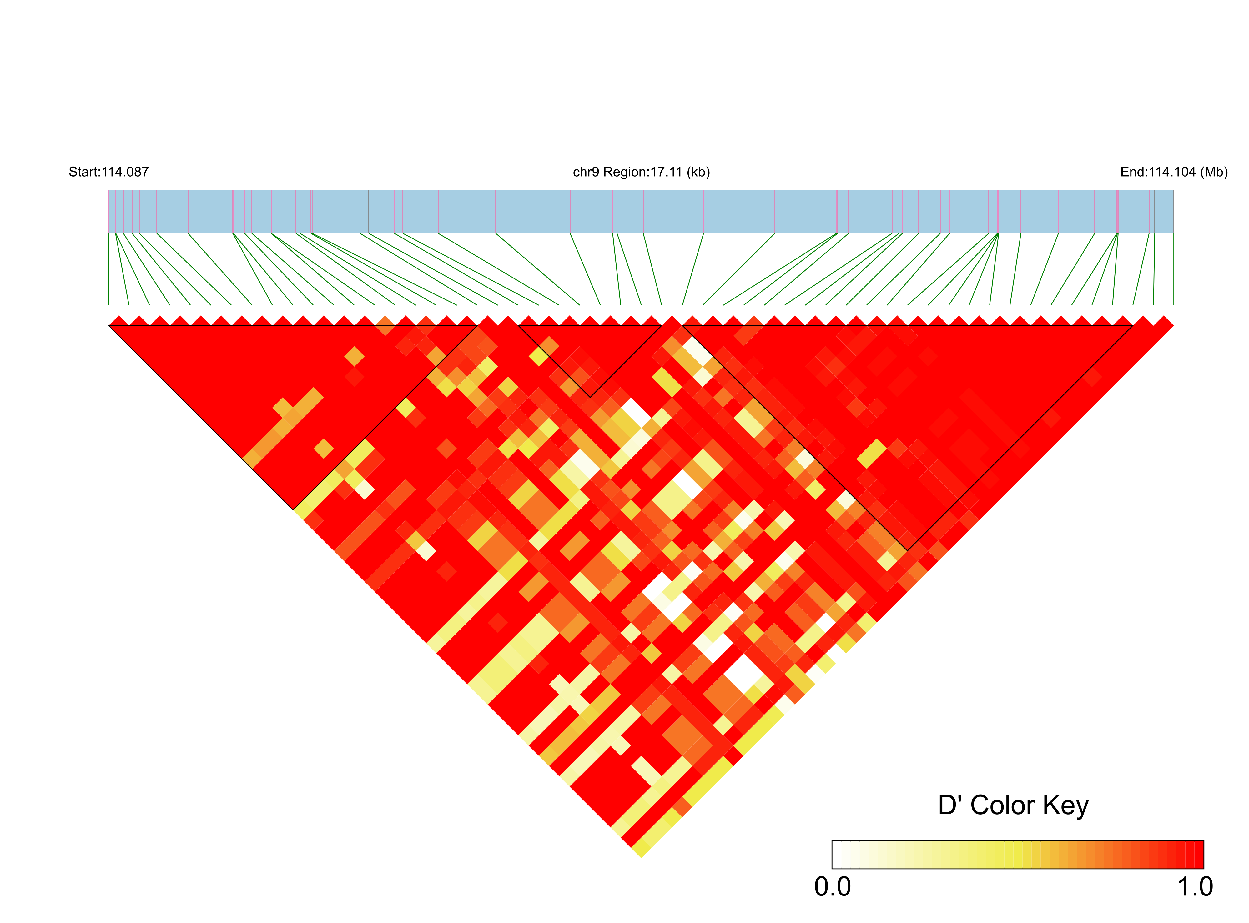 LD