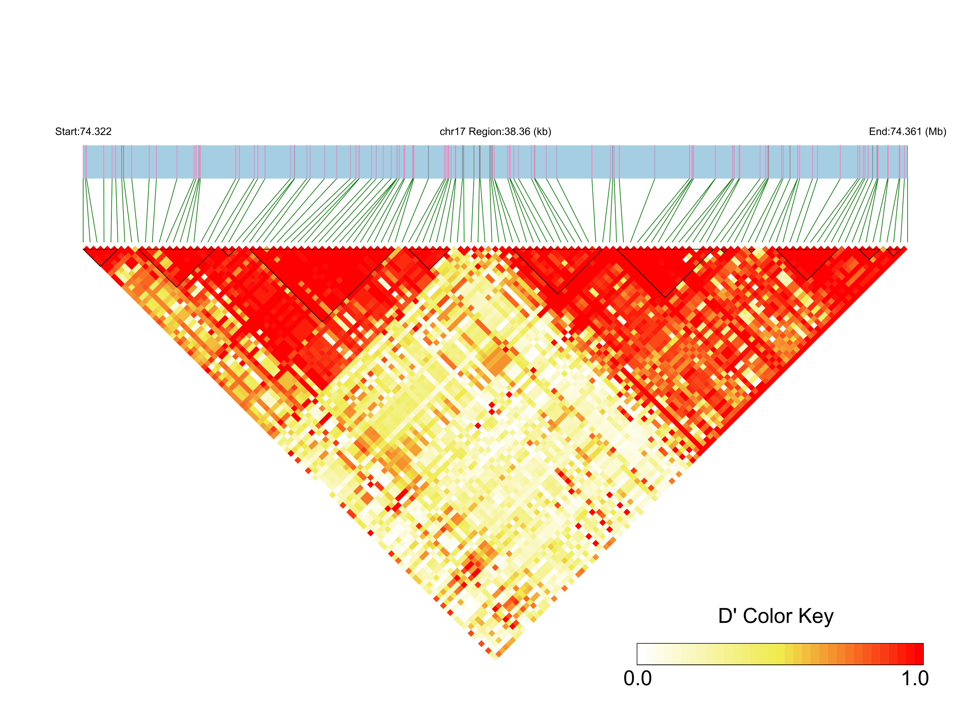 LD