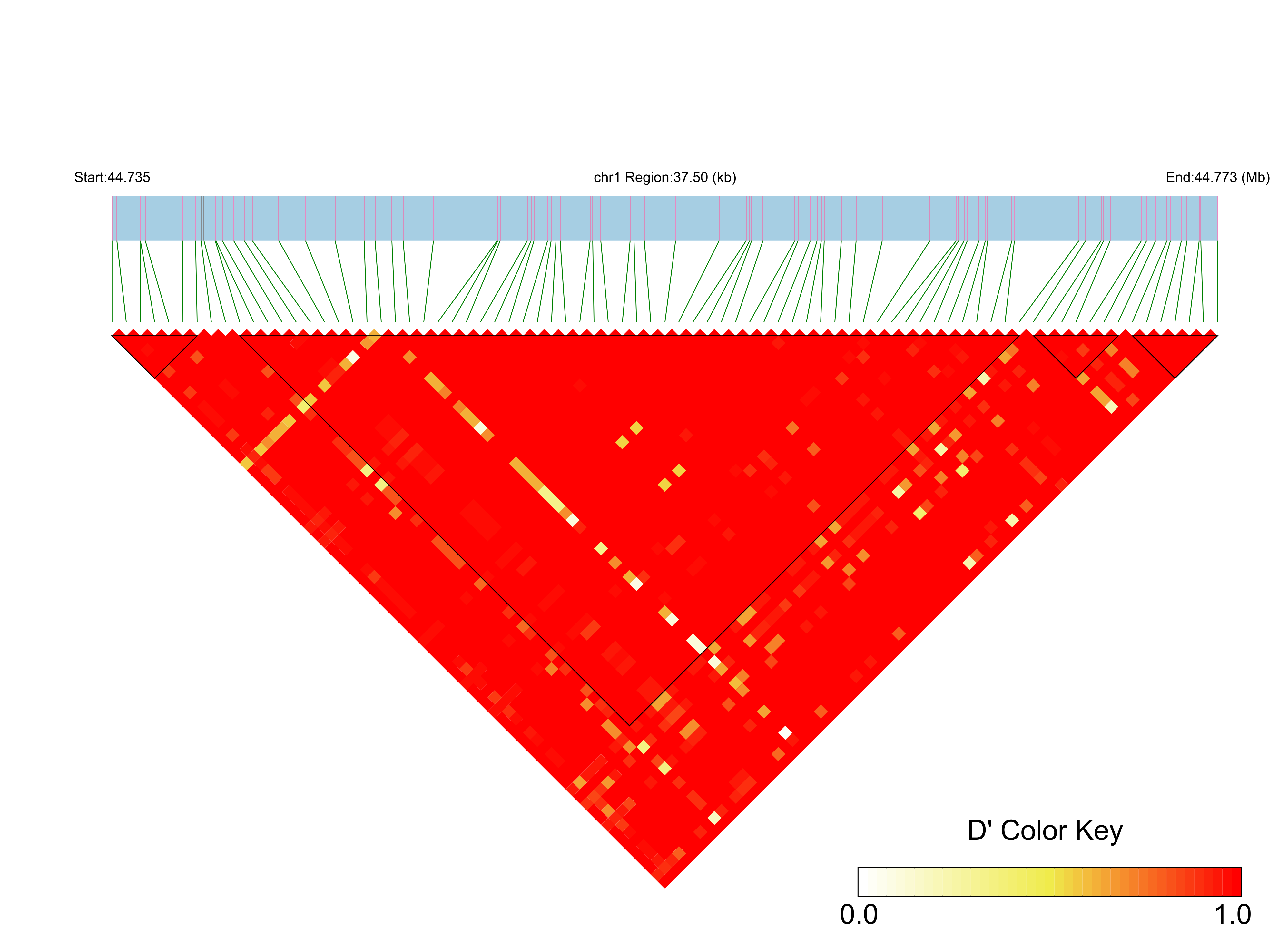 LD