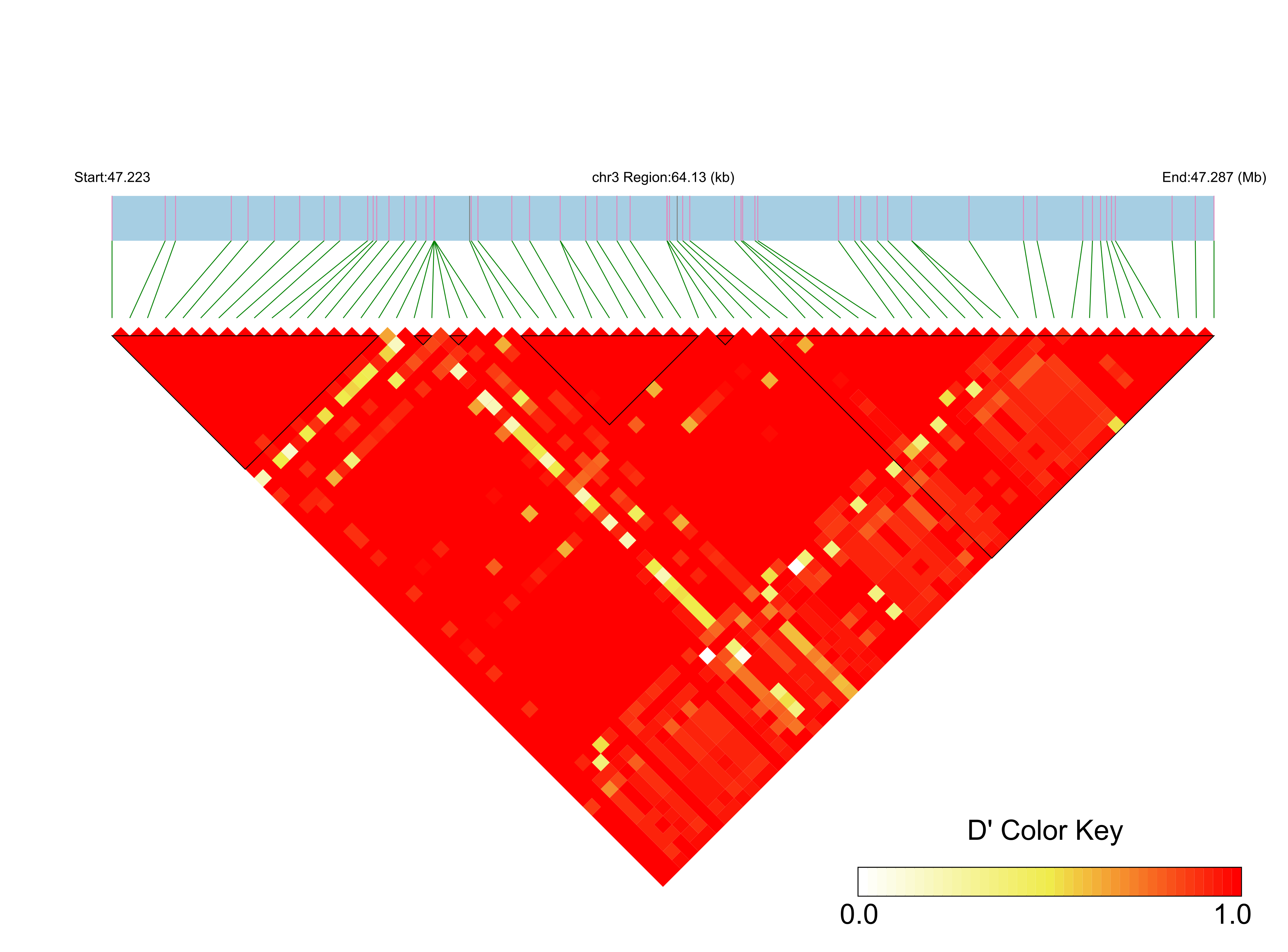 LD