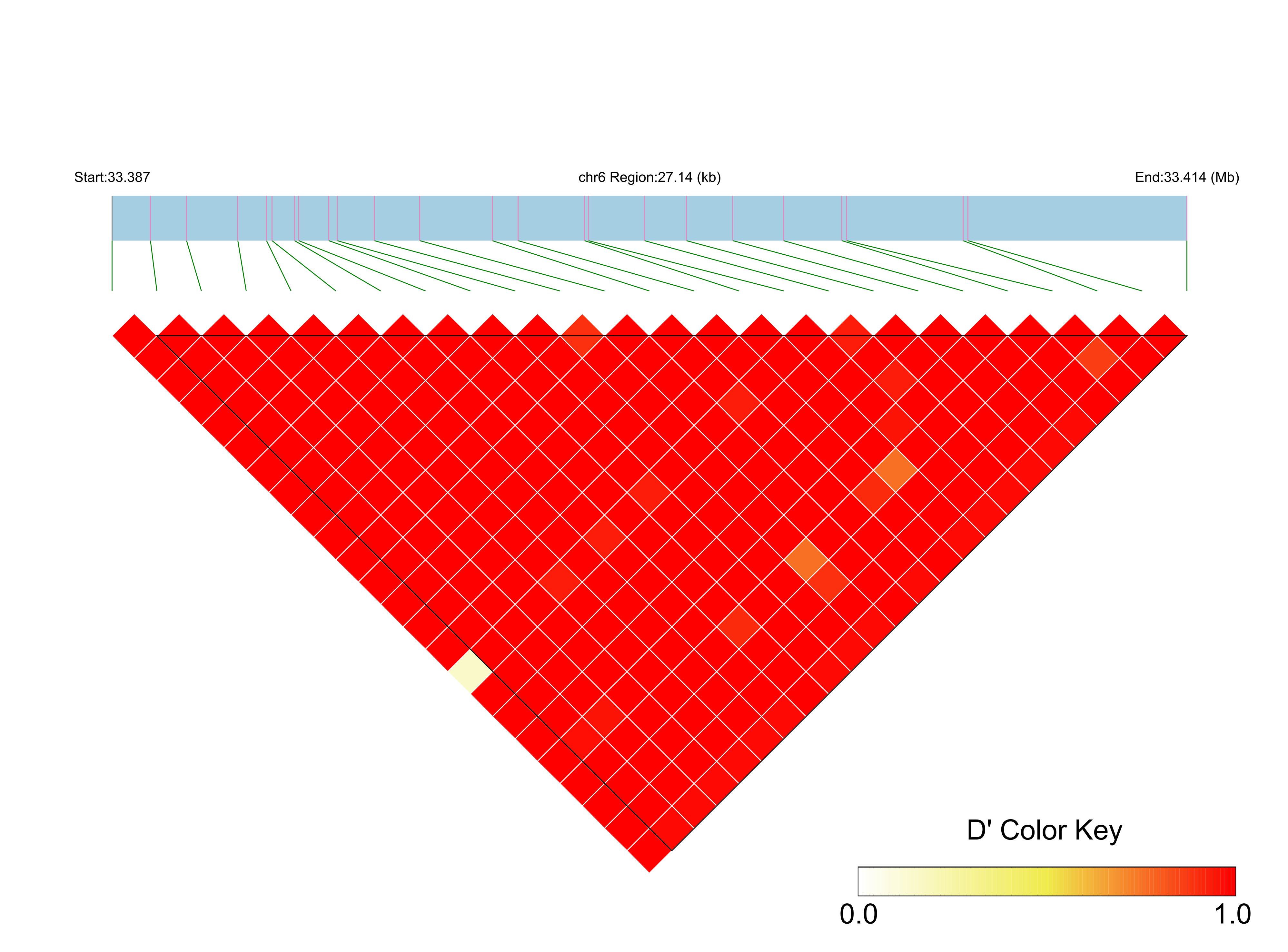 LD
