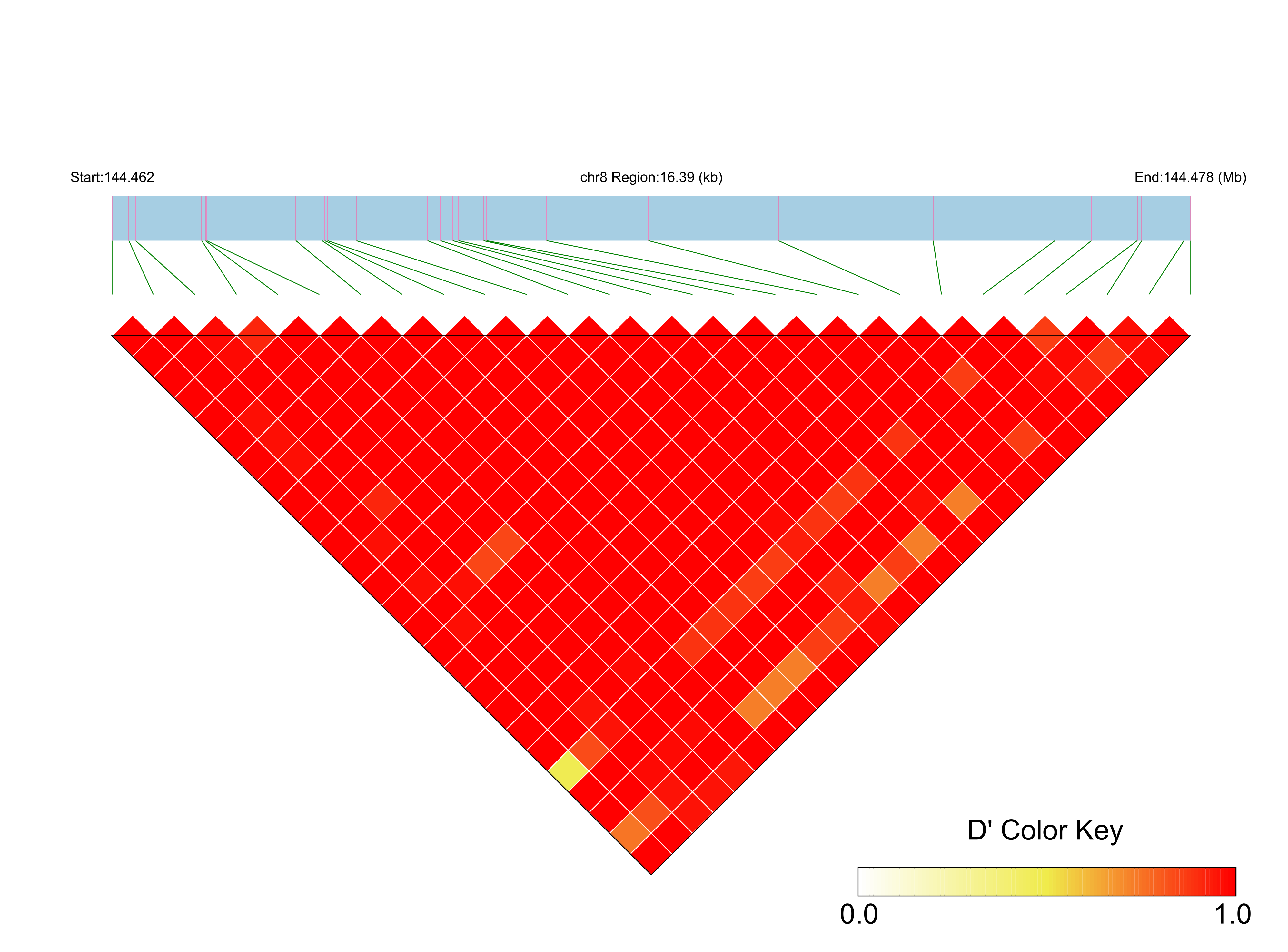 LD