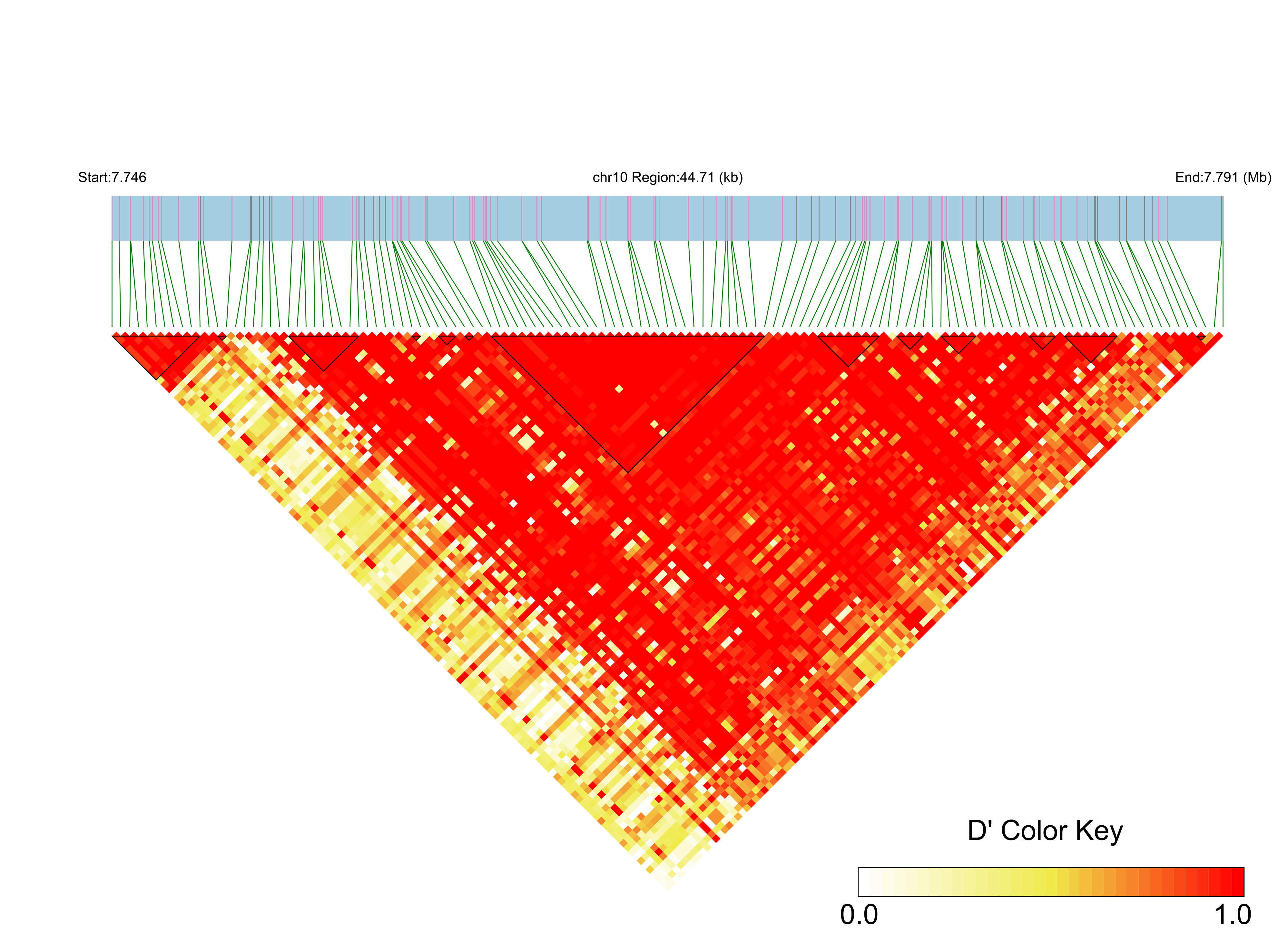 LD