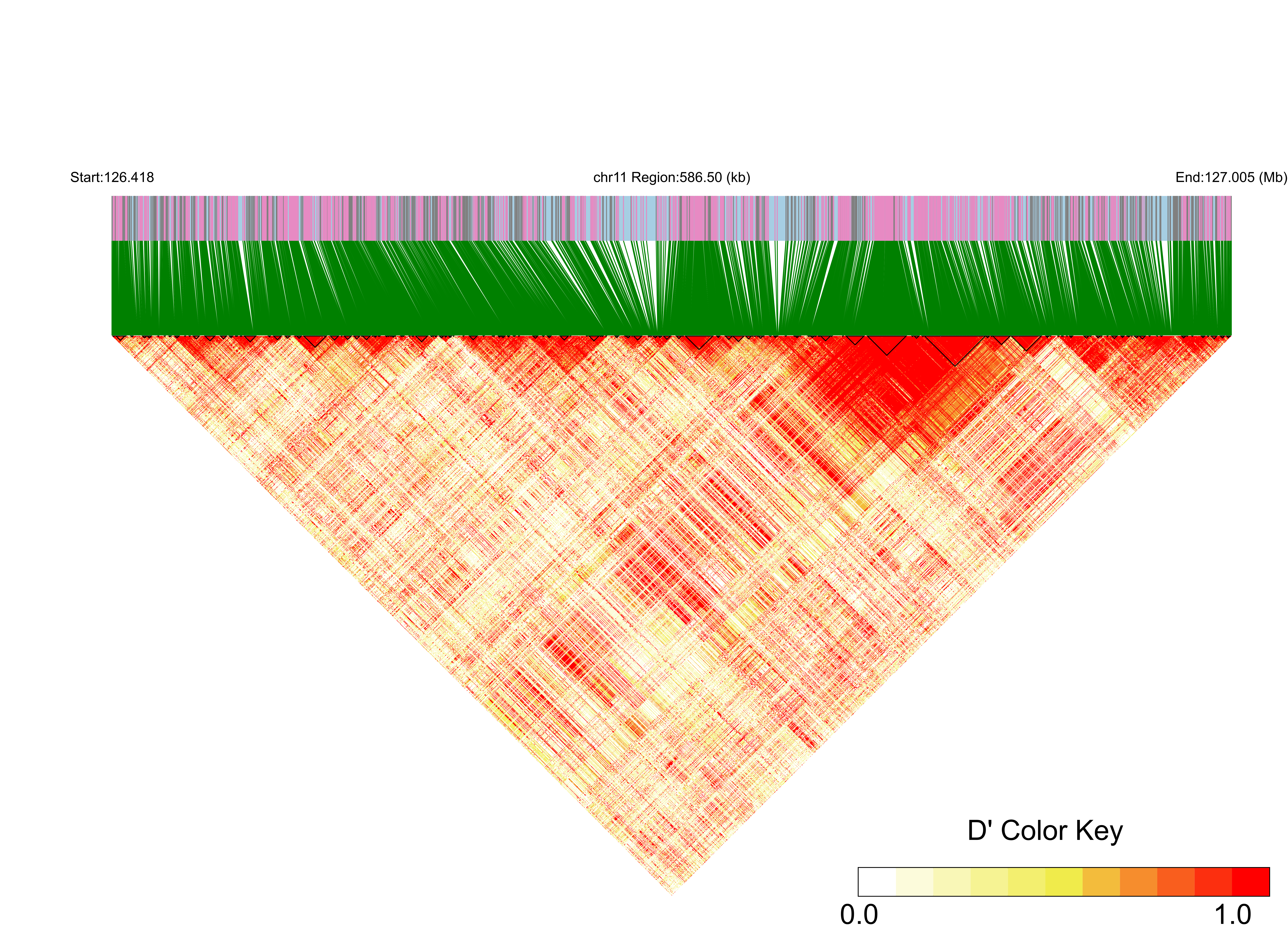 LD