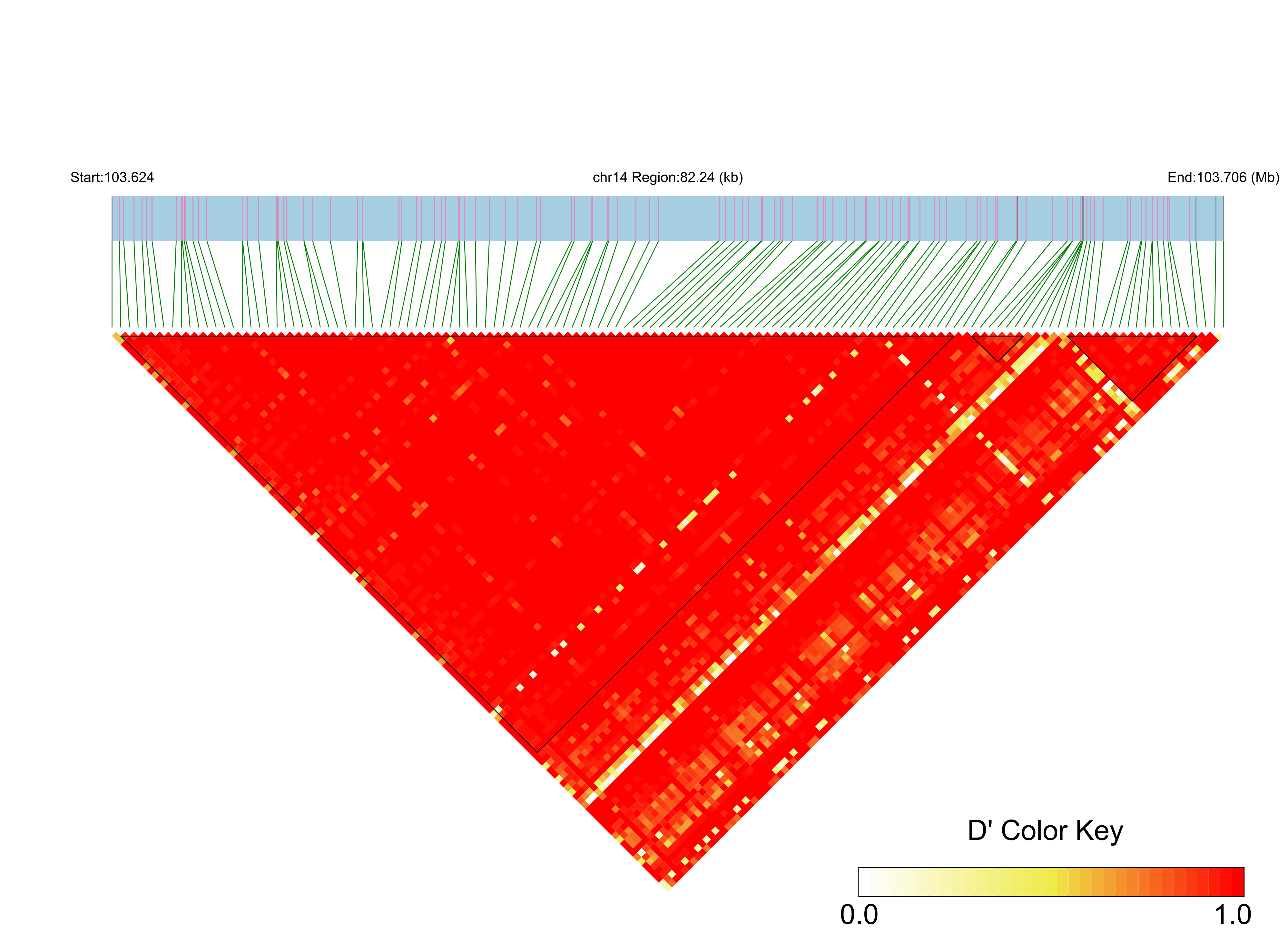 LD