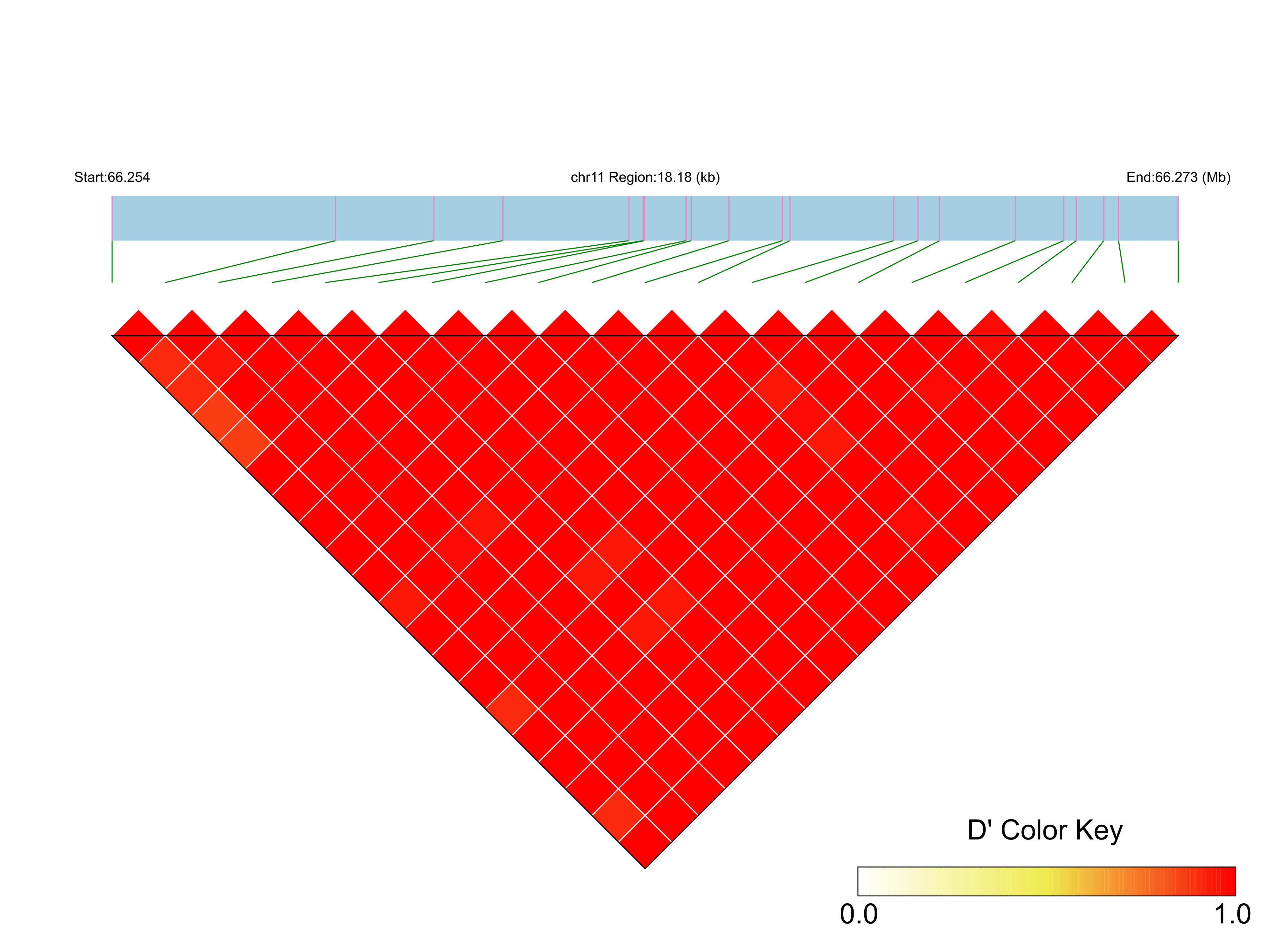 LD
