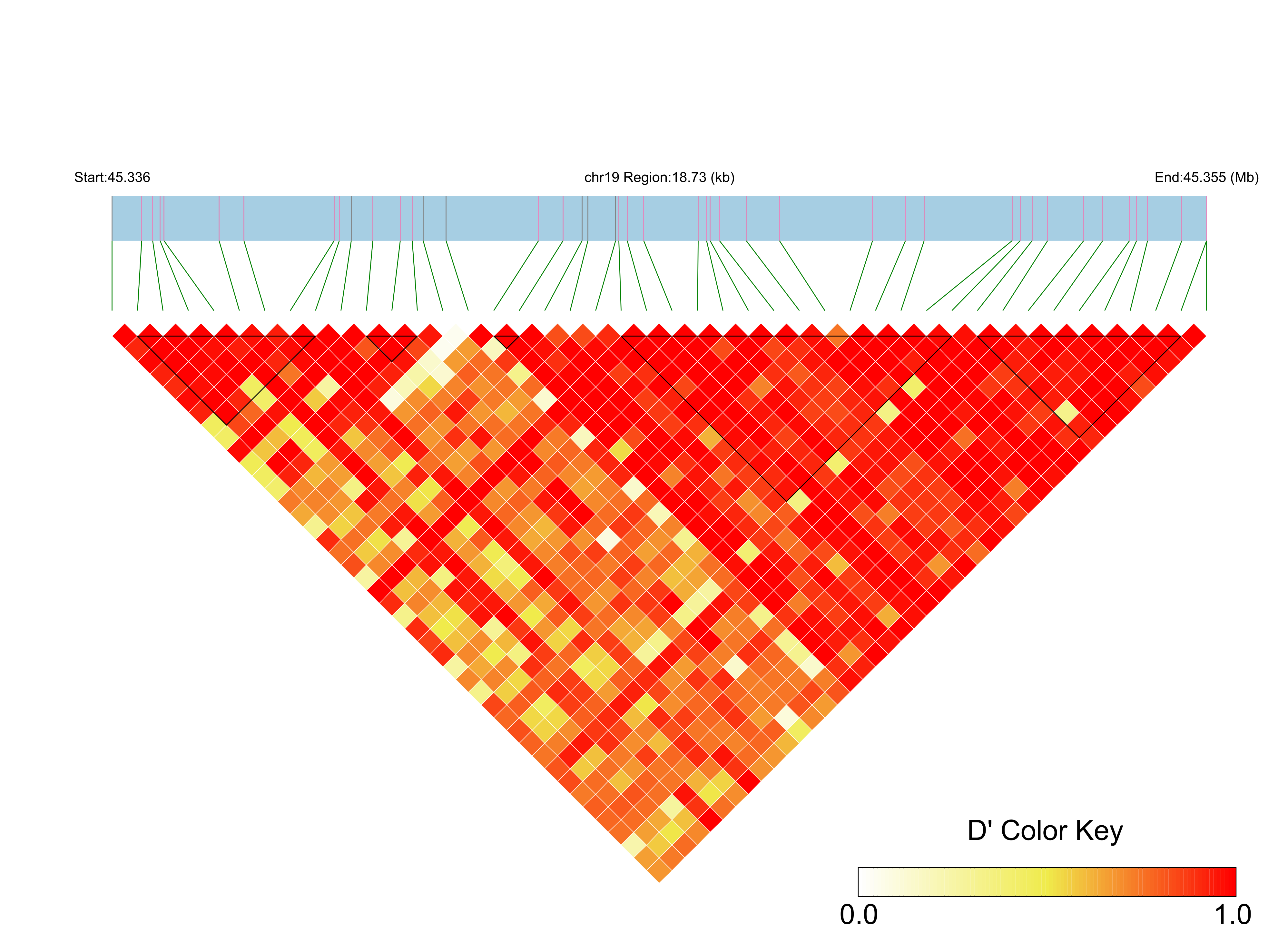 LD
