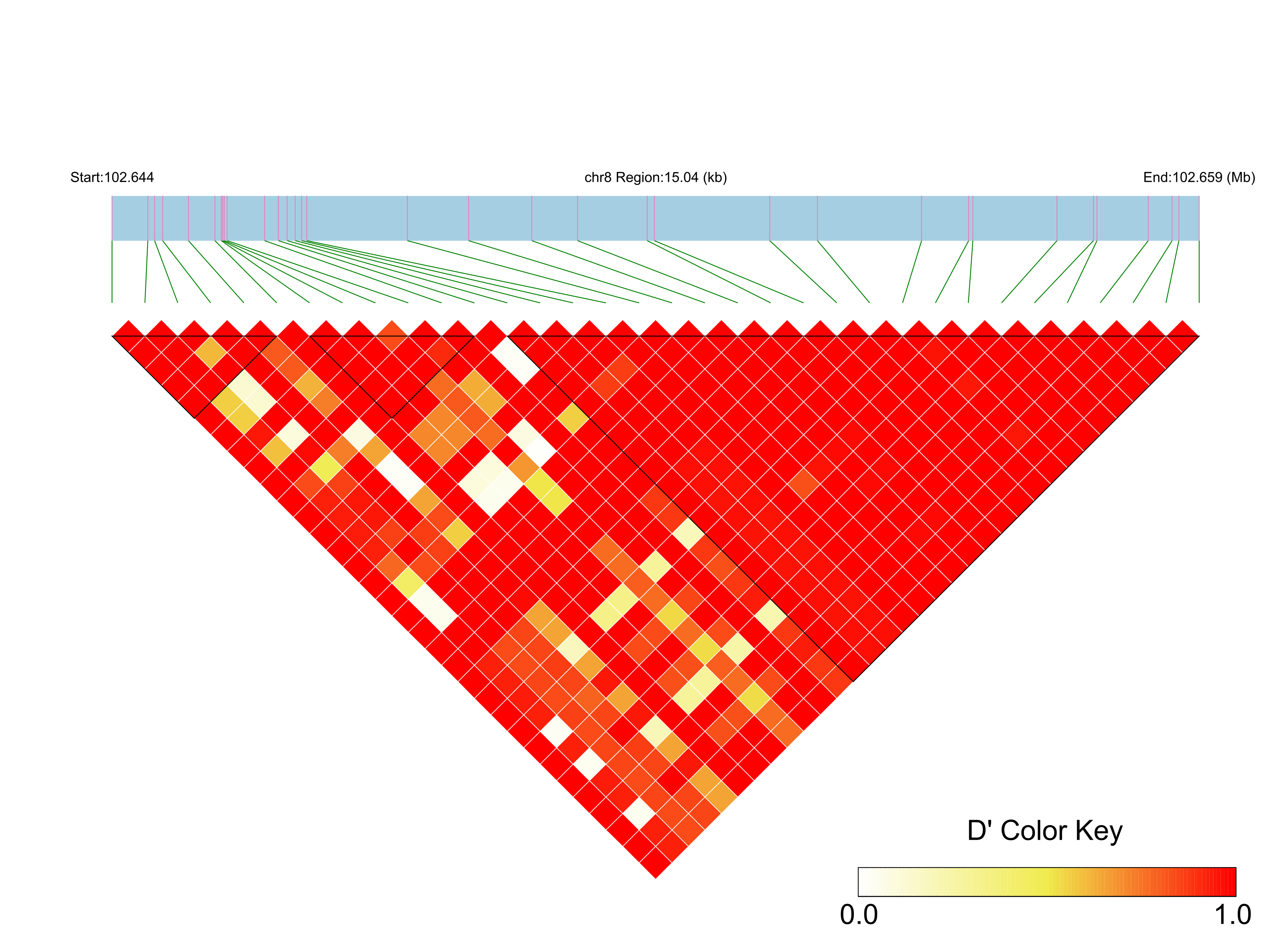 LD