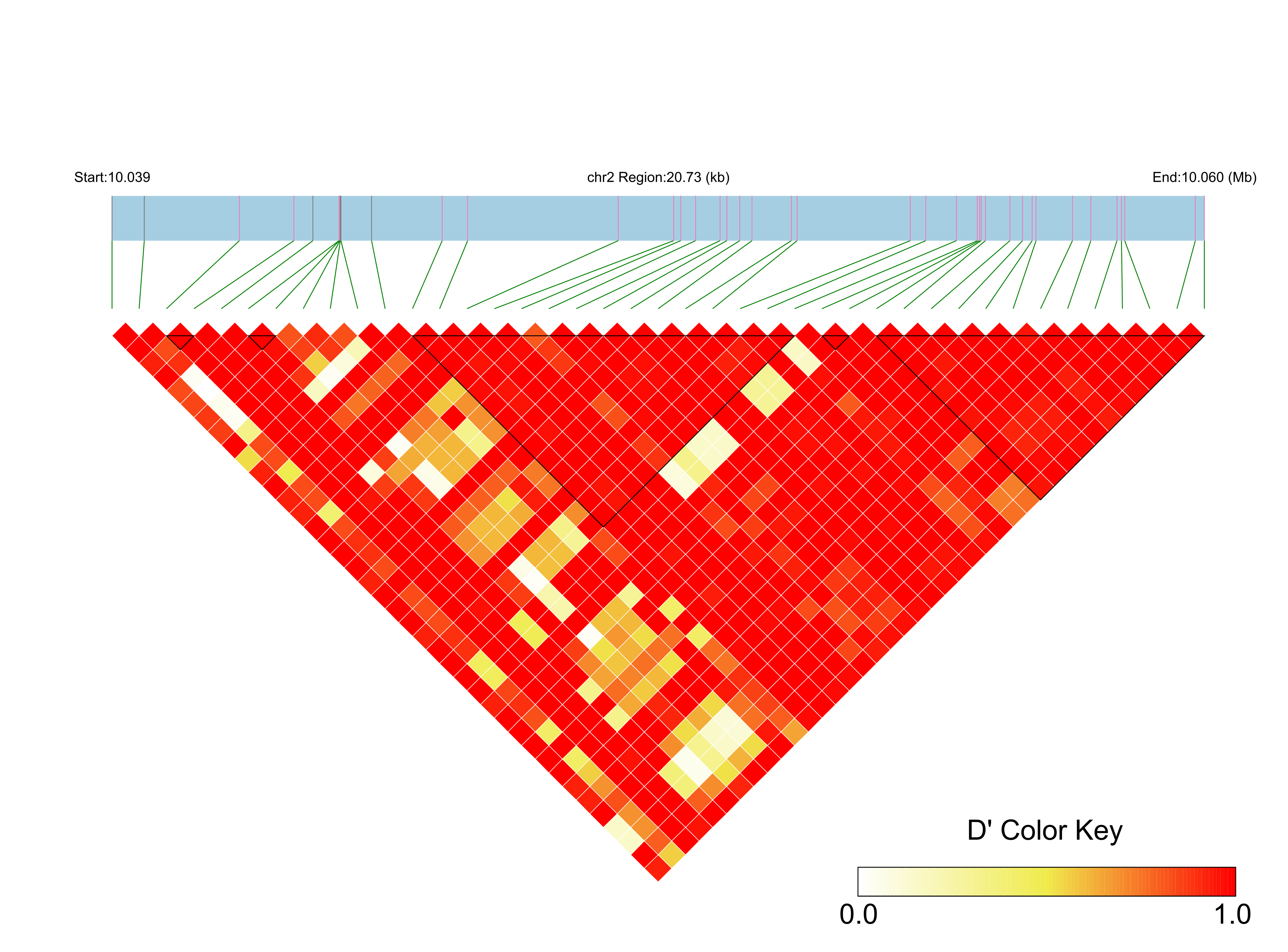 LD