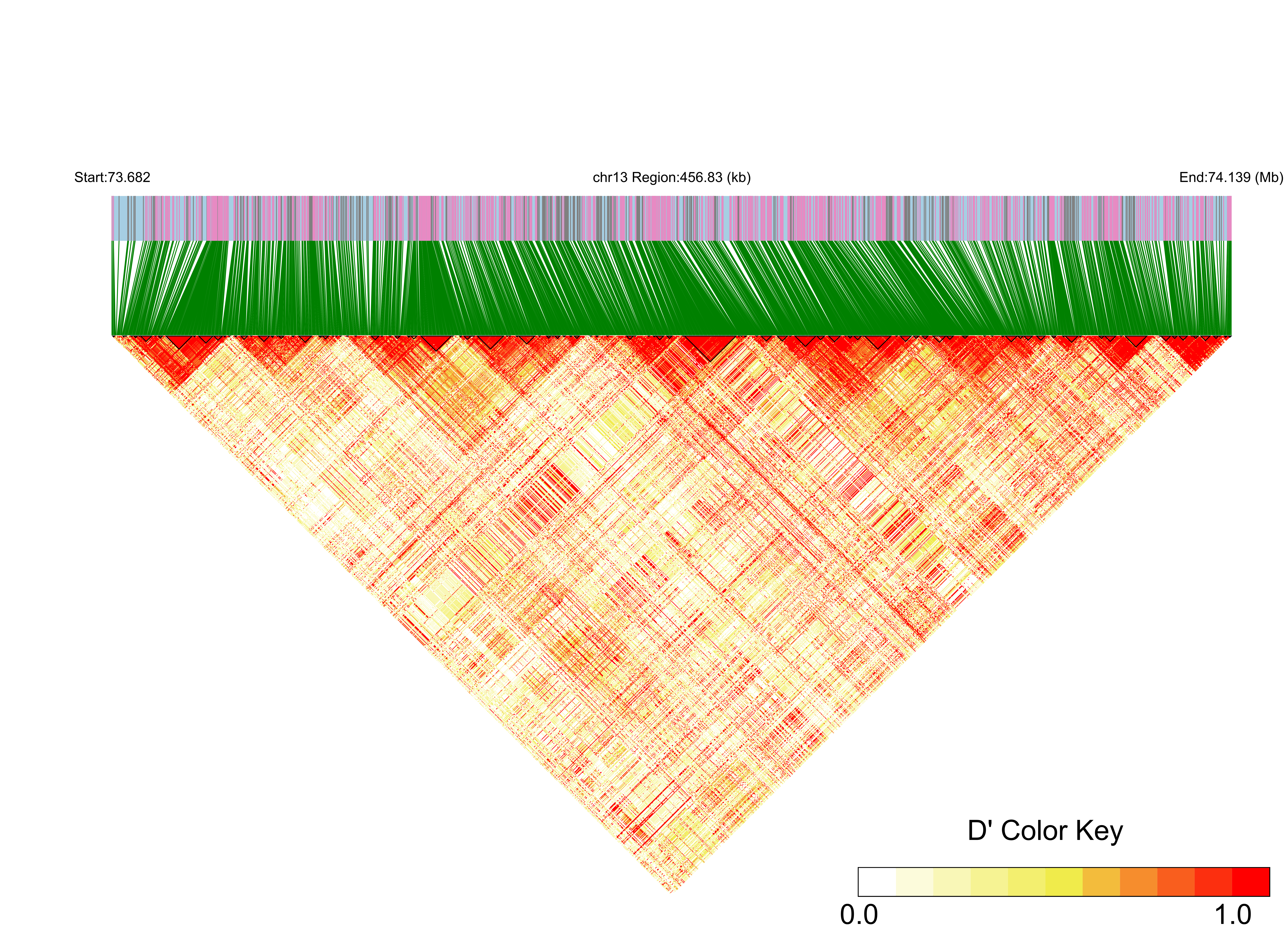 LD