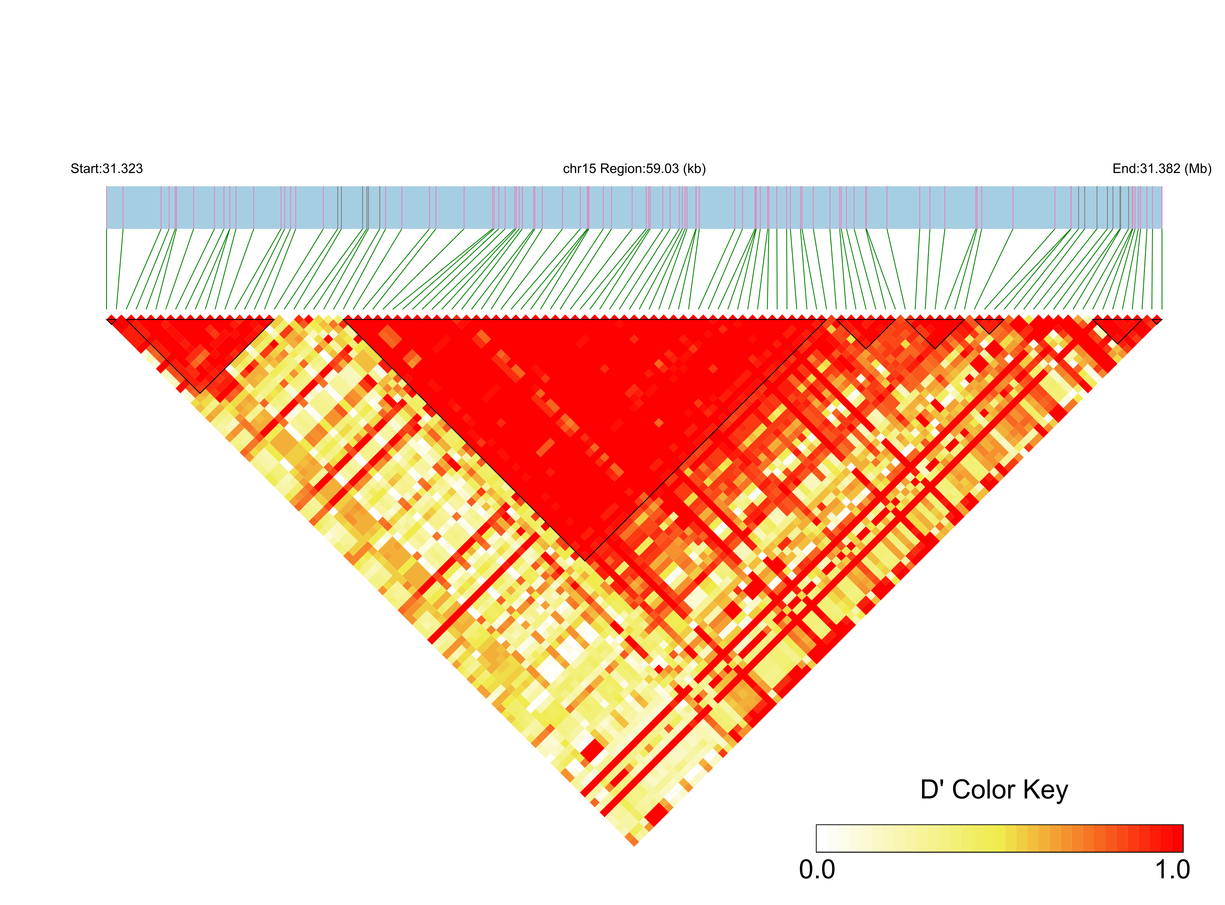 LD