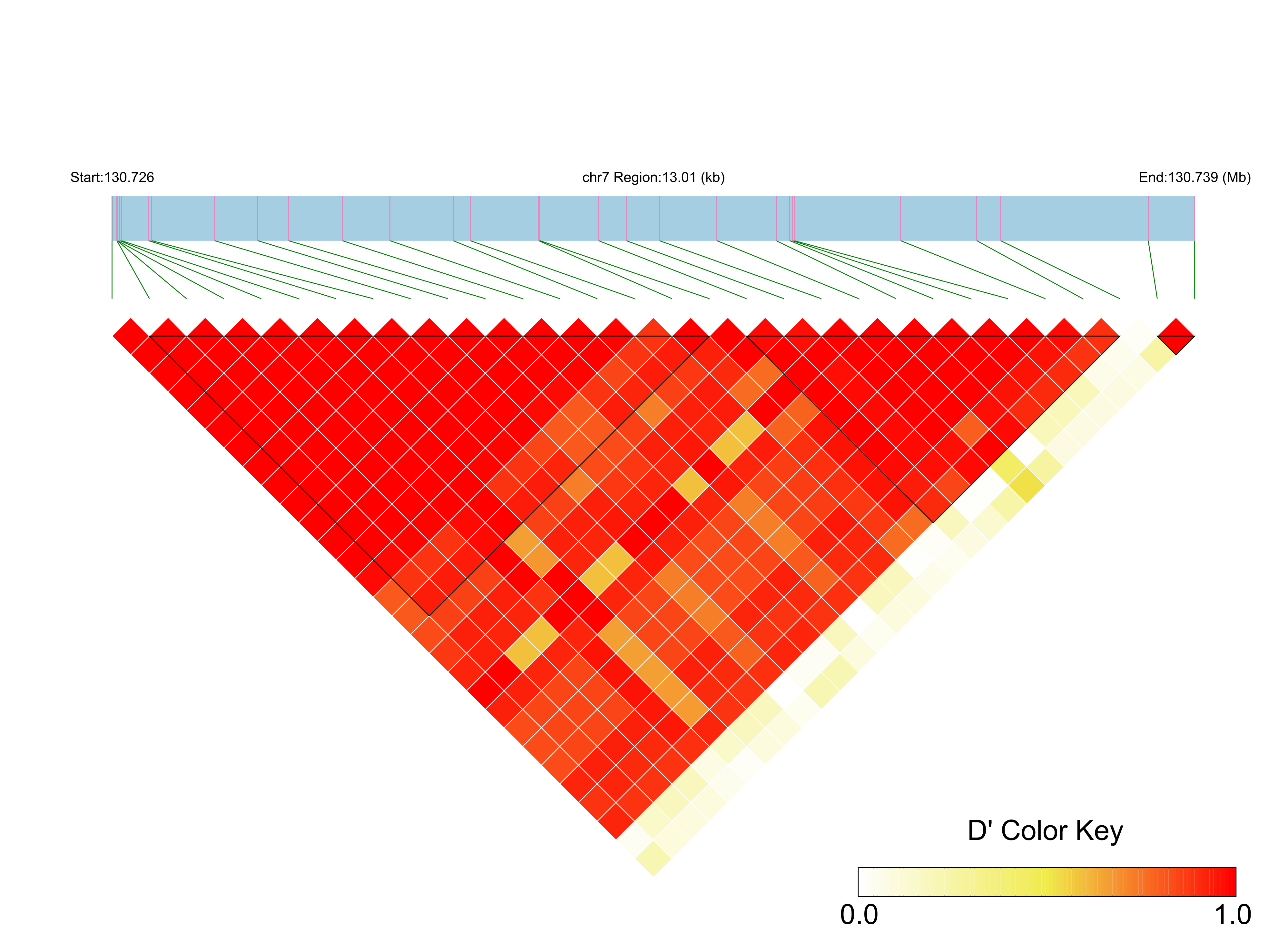 LD