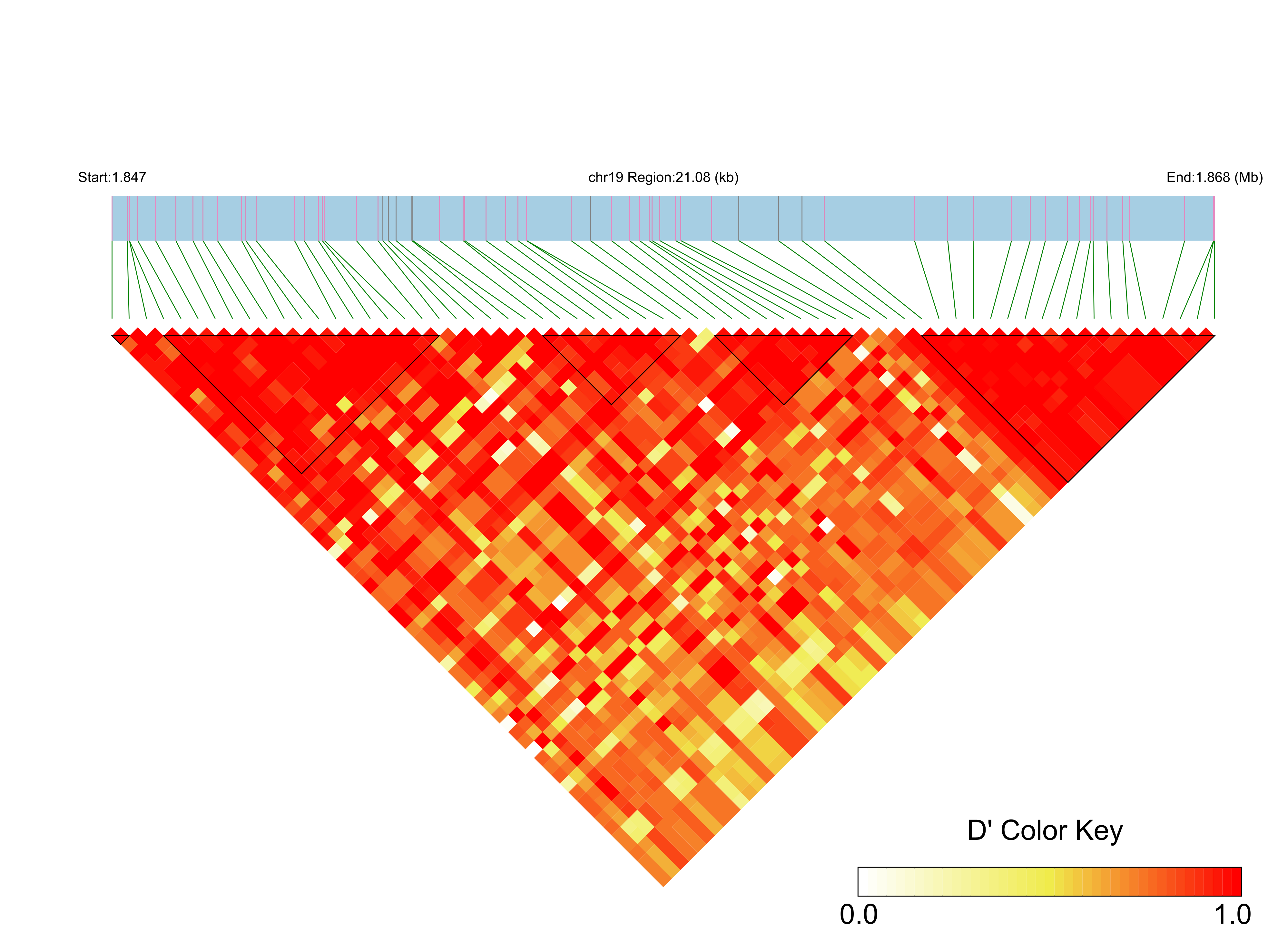LD