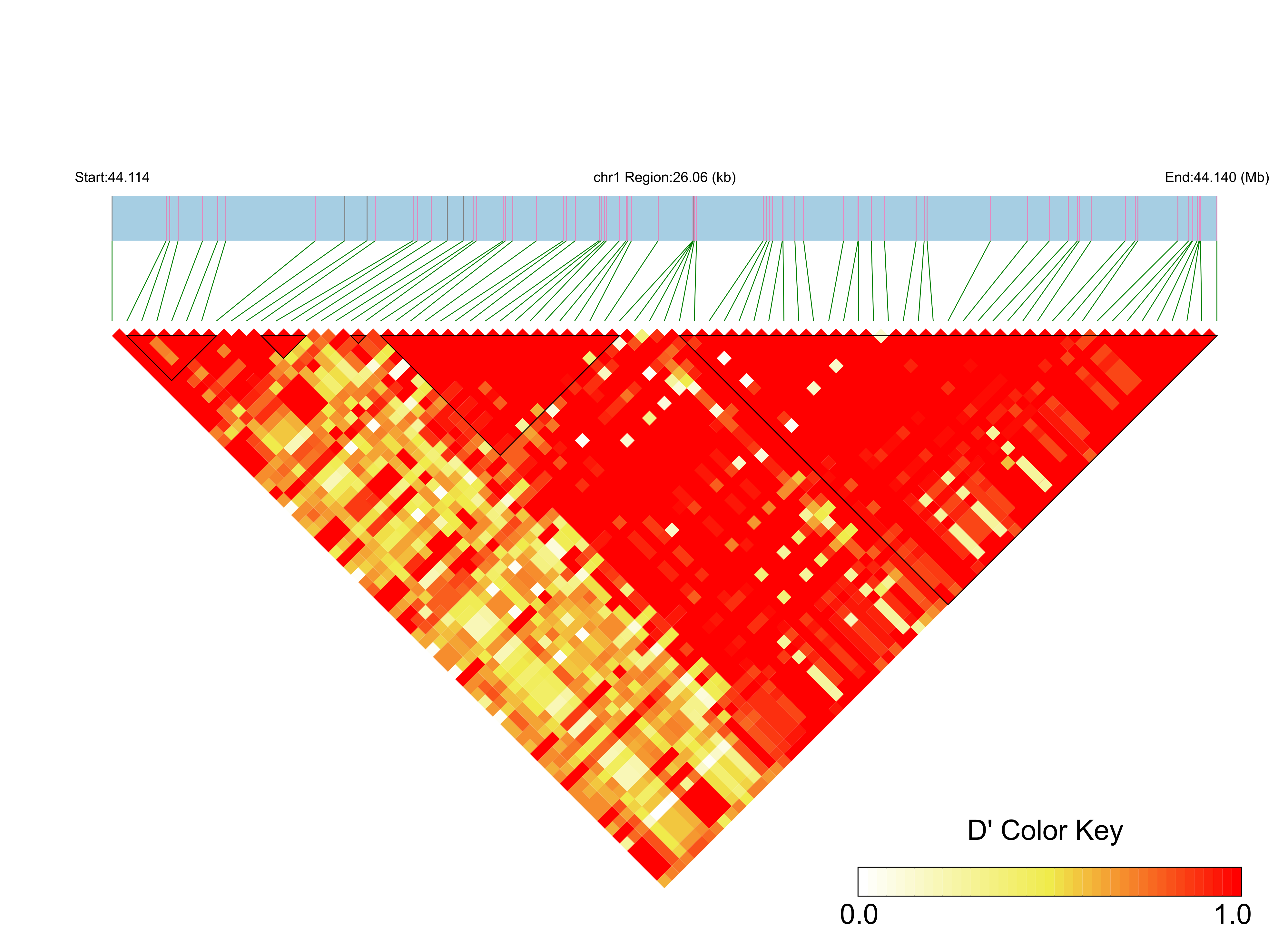 LD