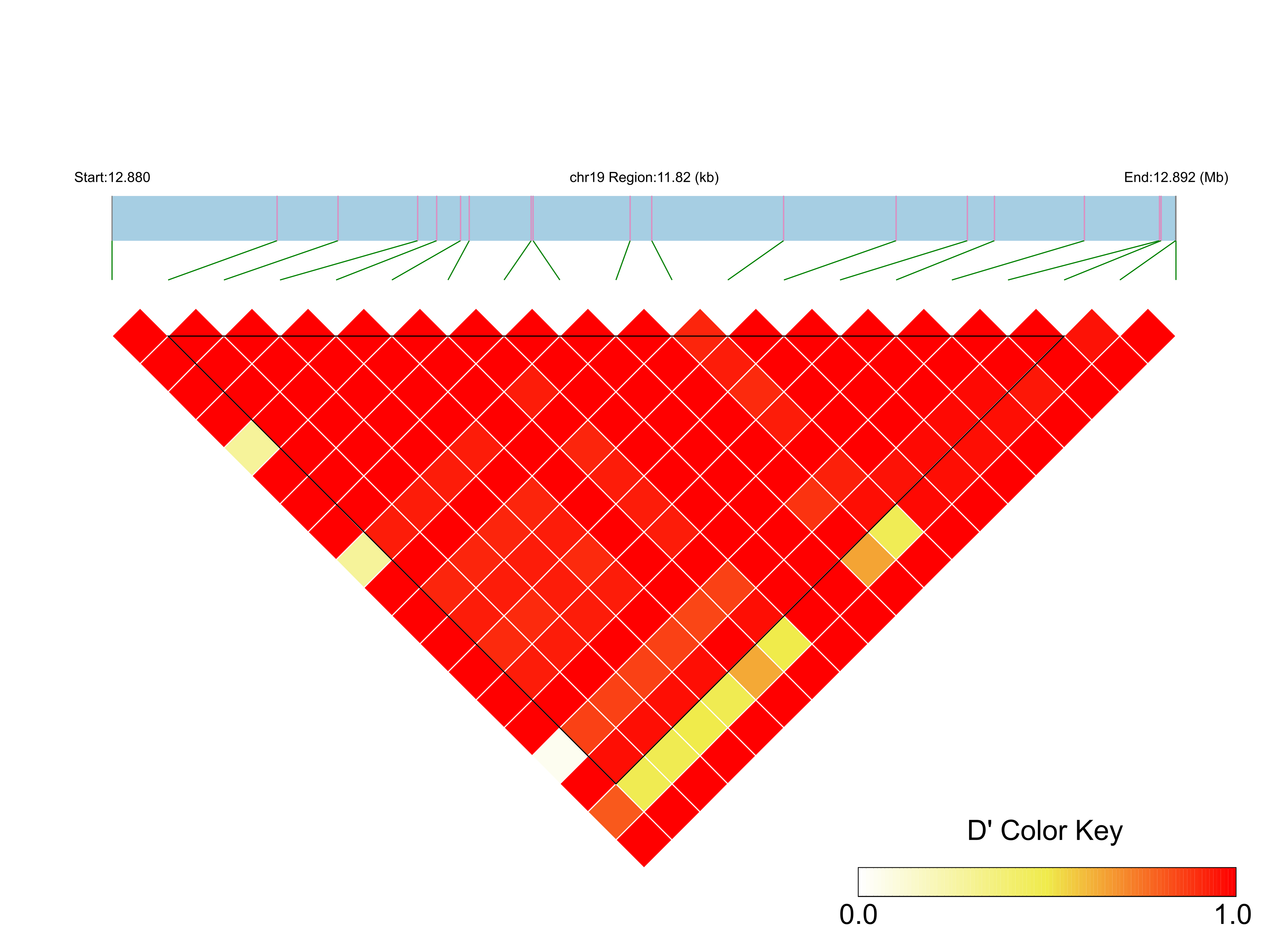 LD