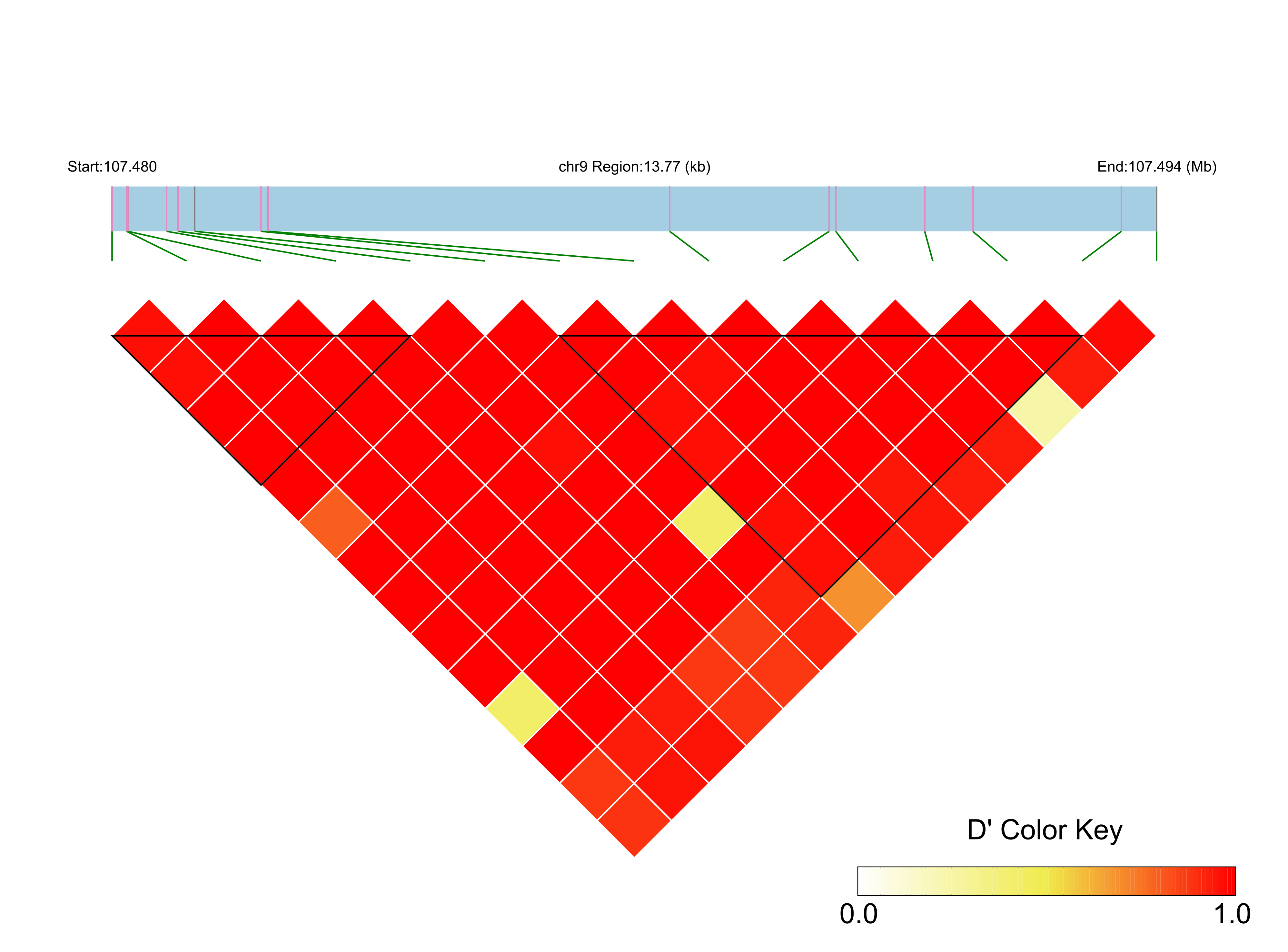 LD