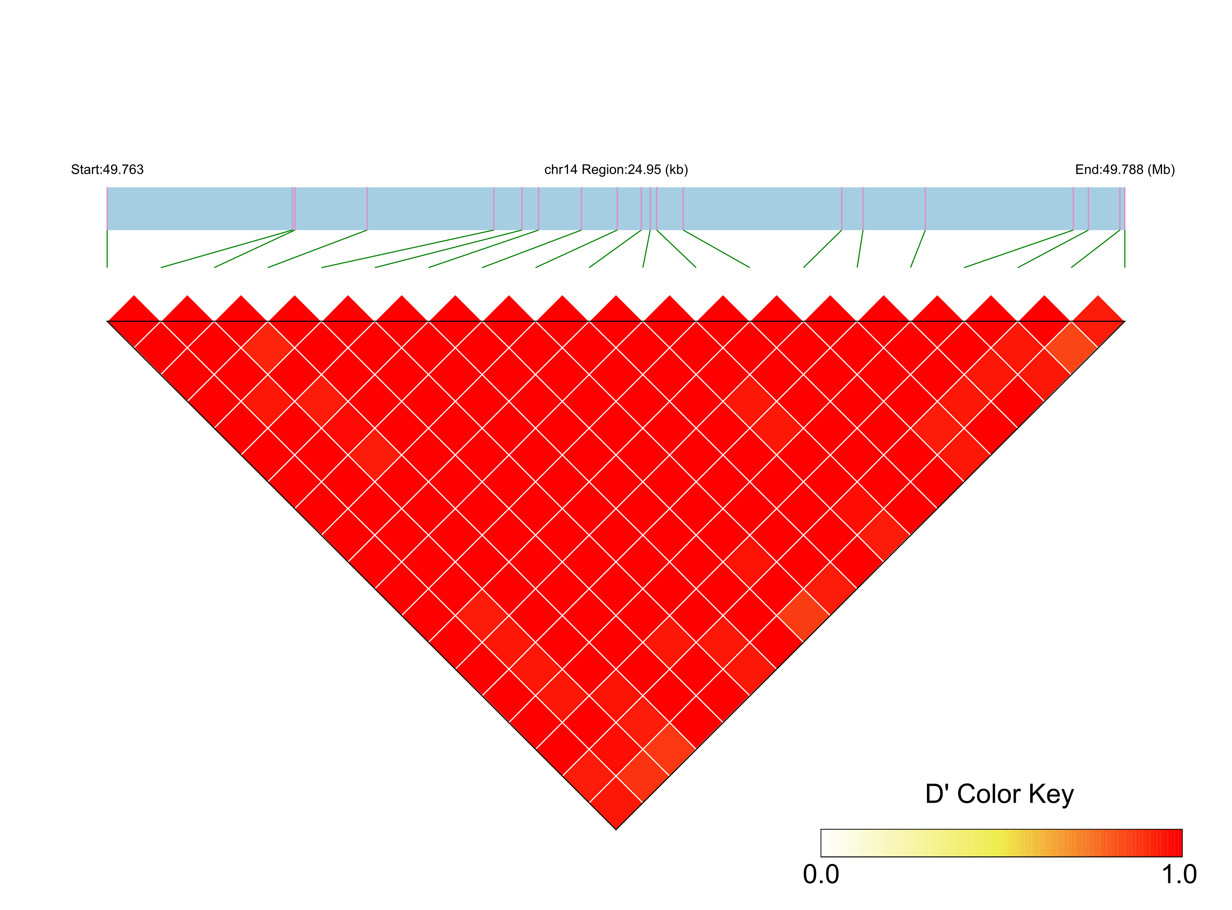 LD