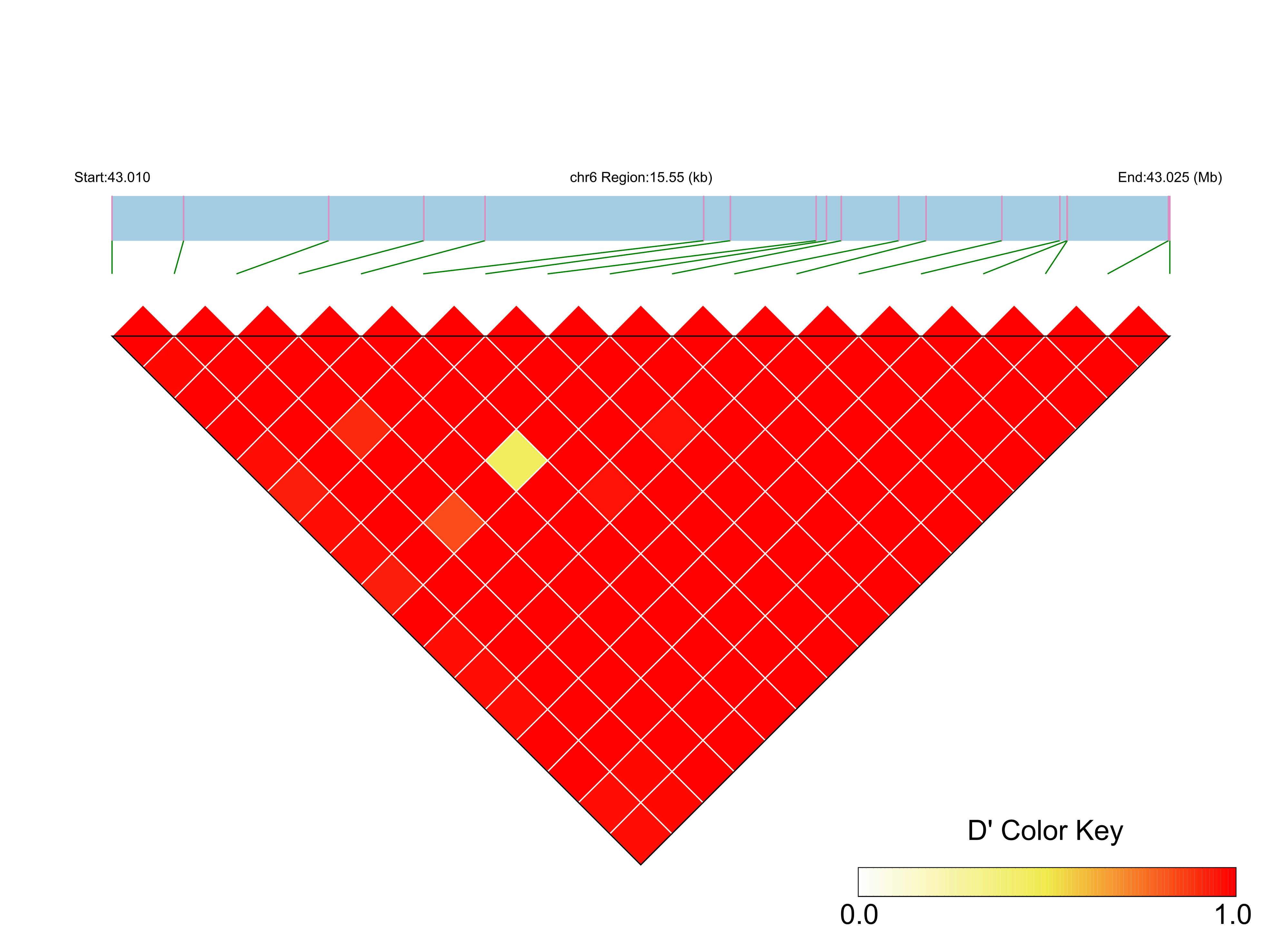 LD