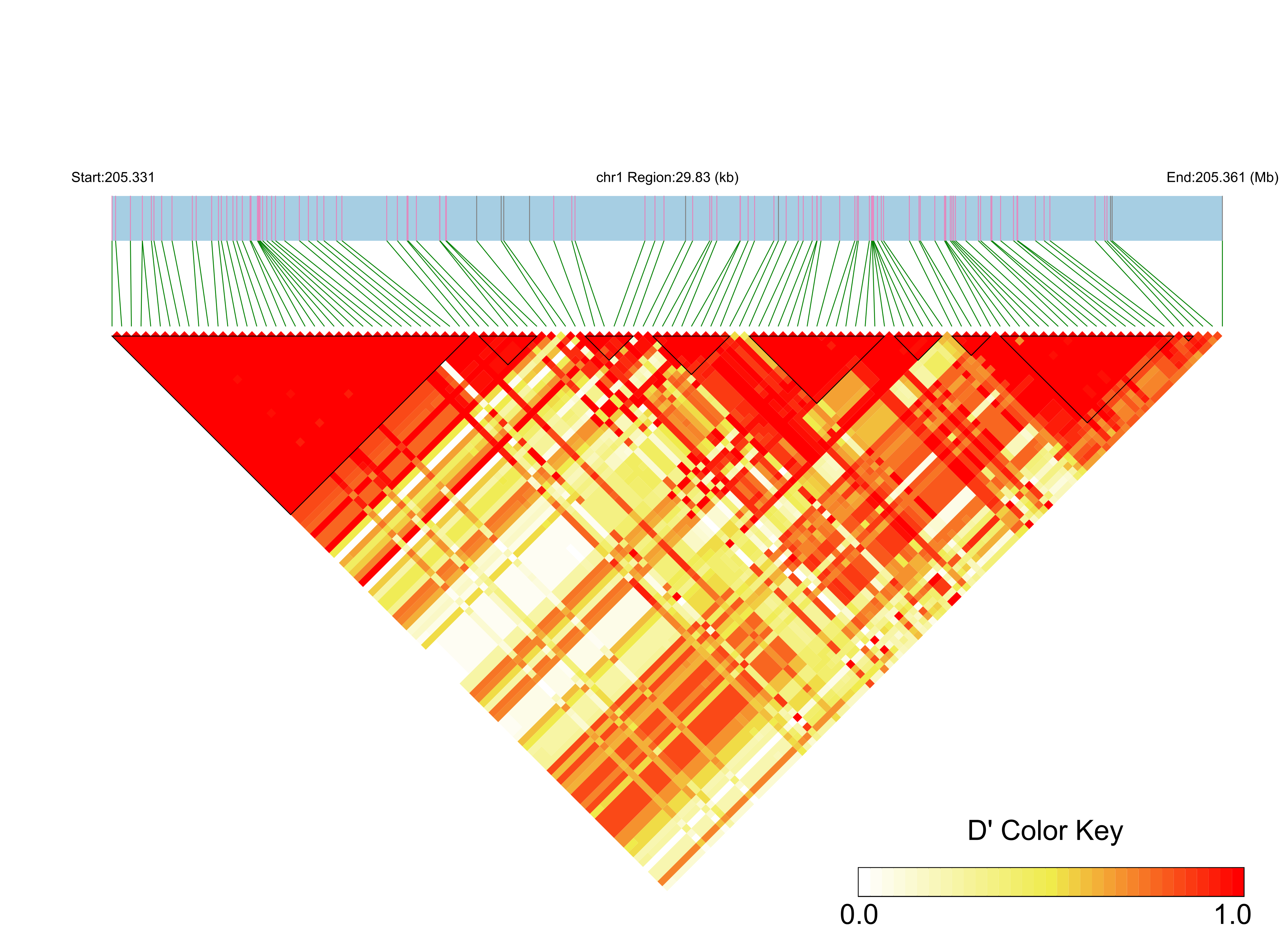 LD