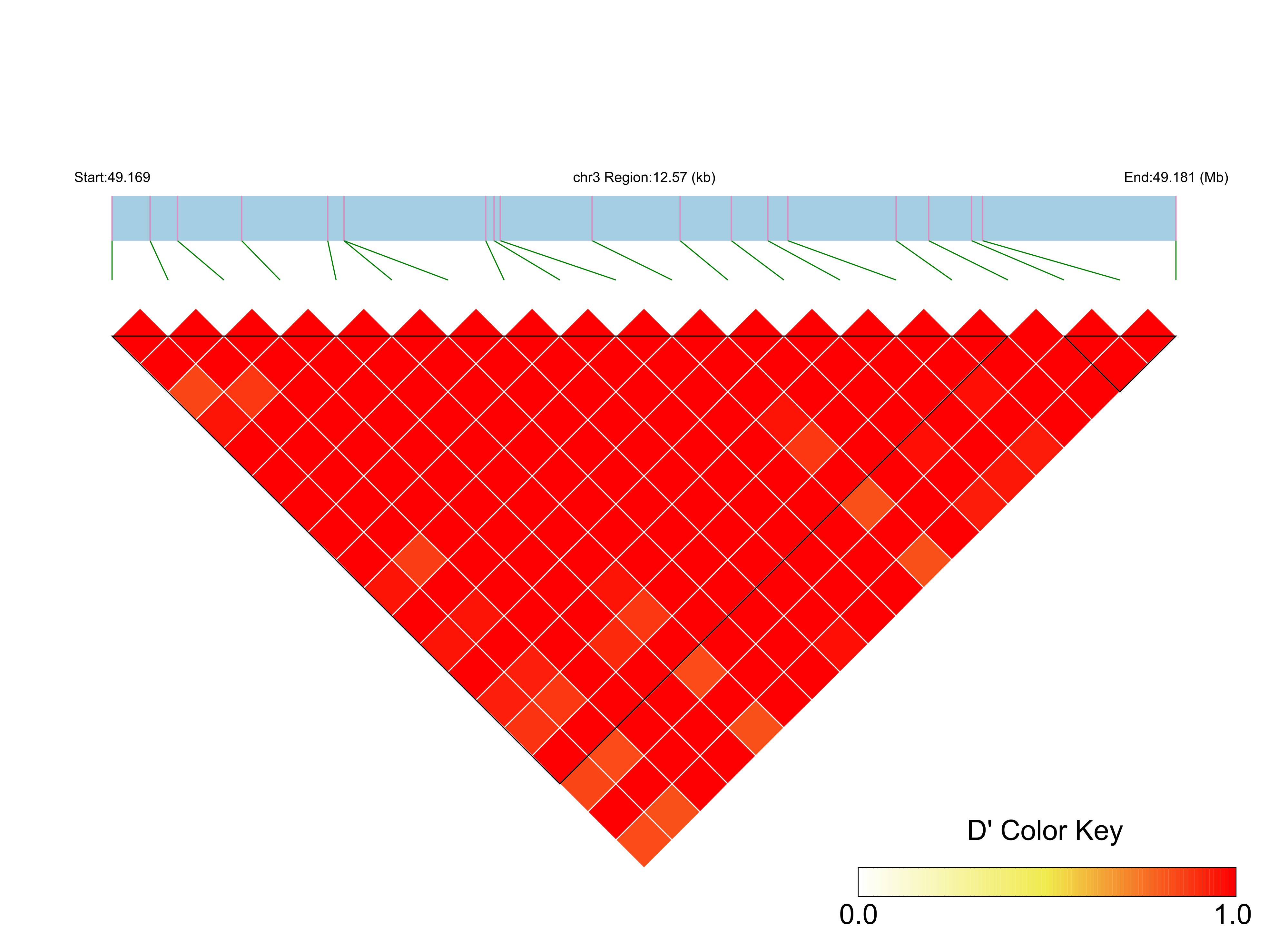 LD