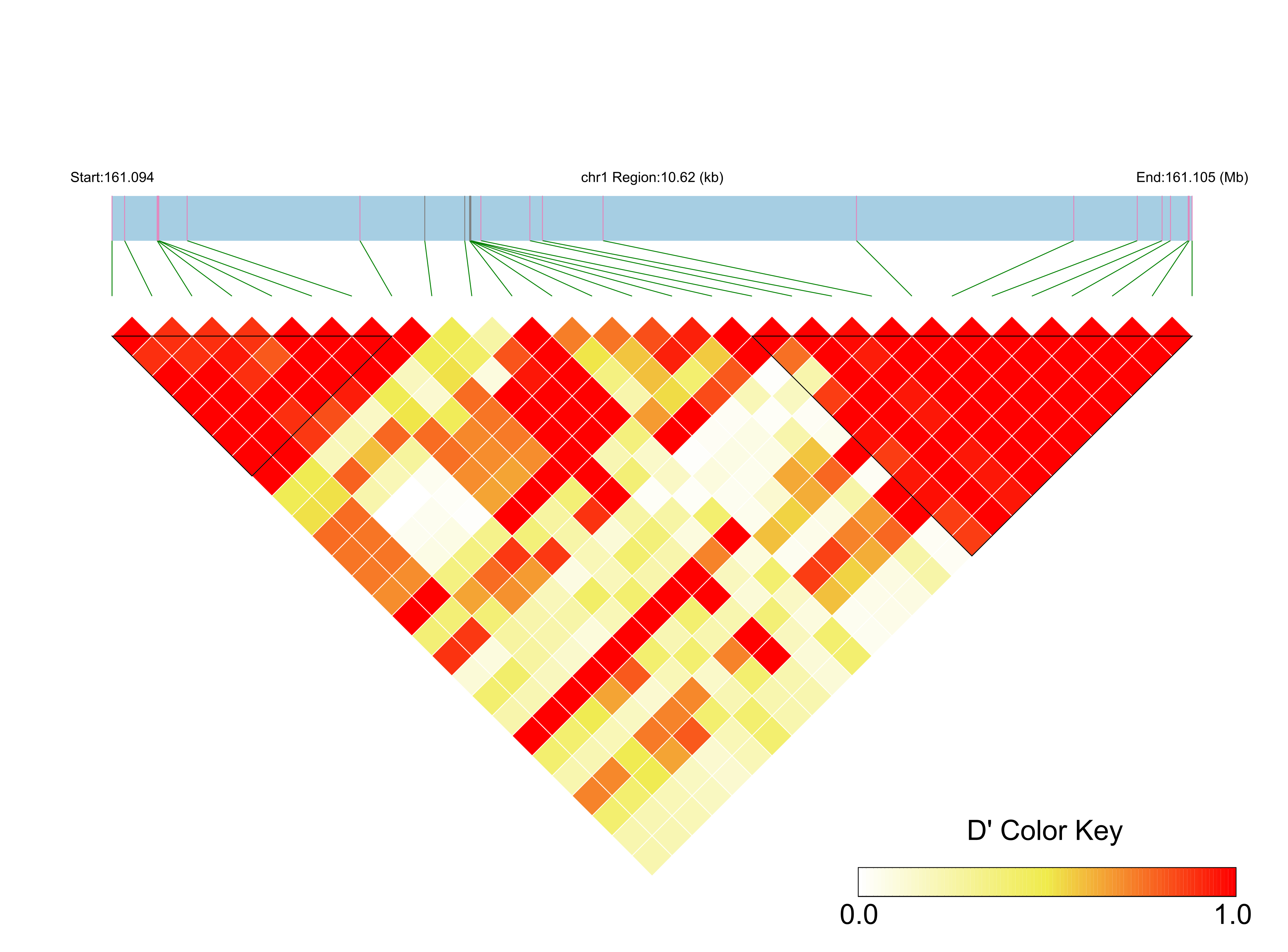 LD