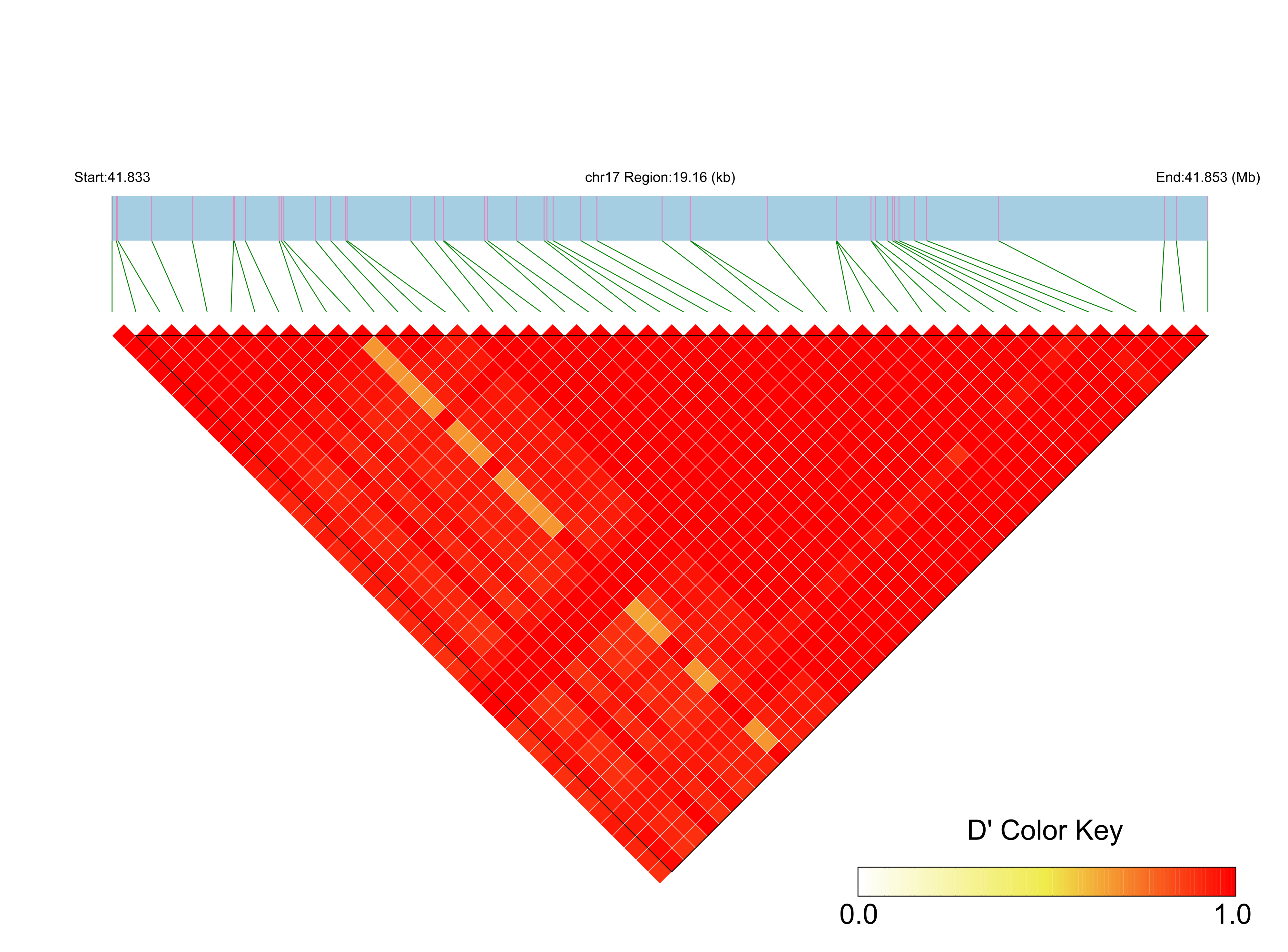LD