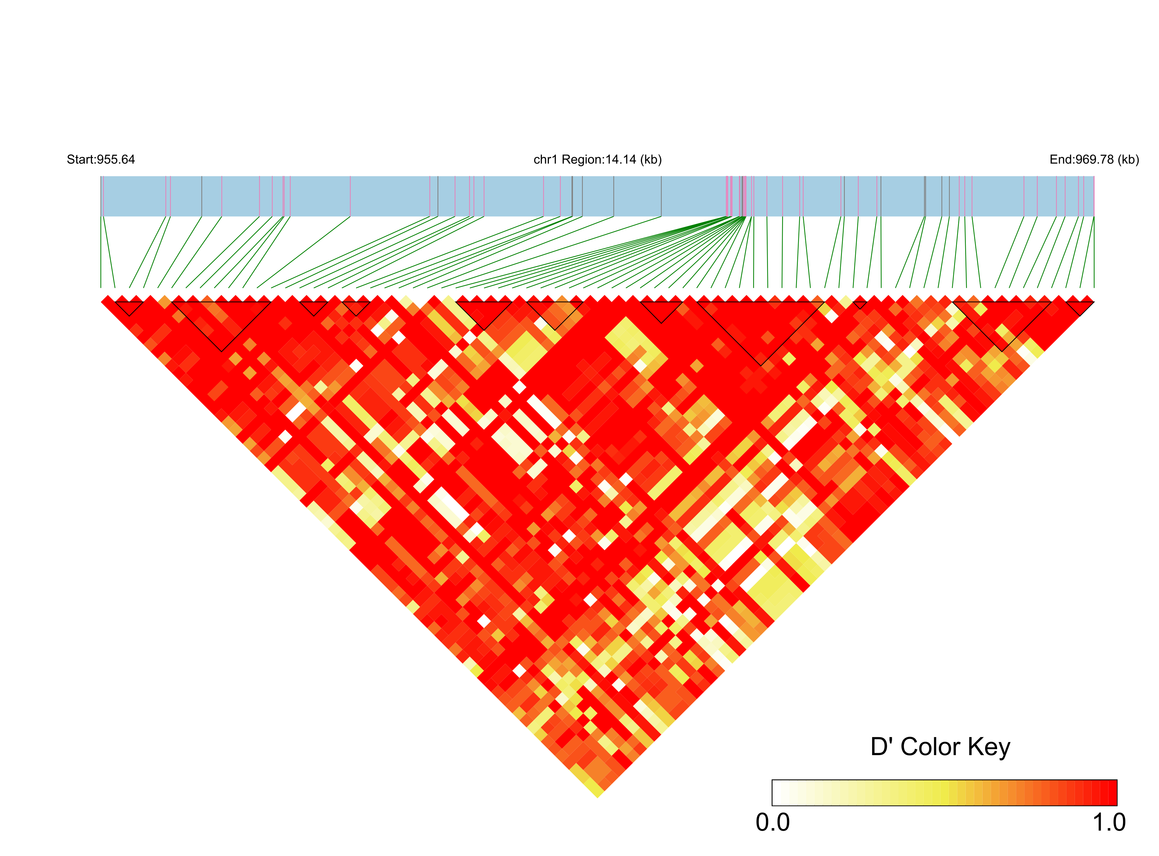 LD