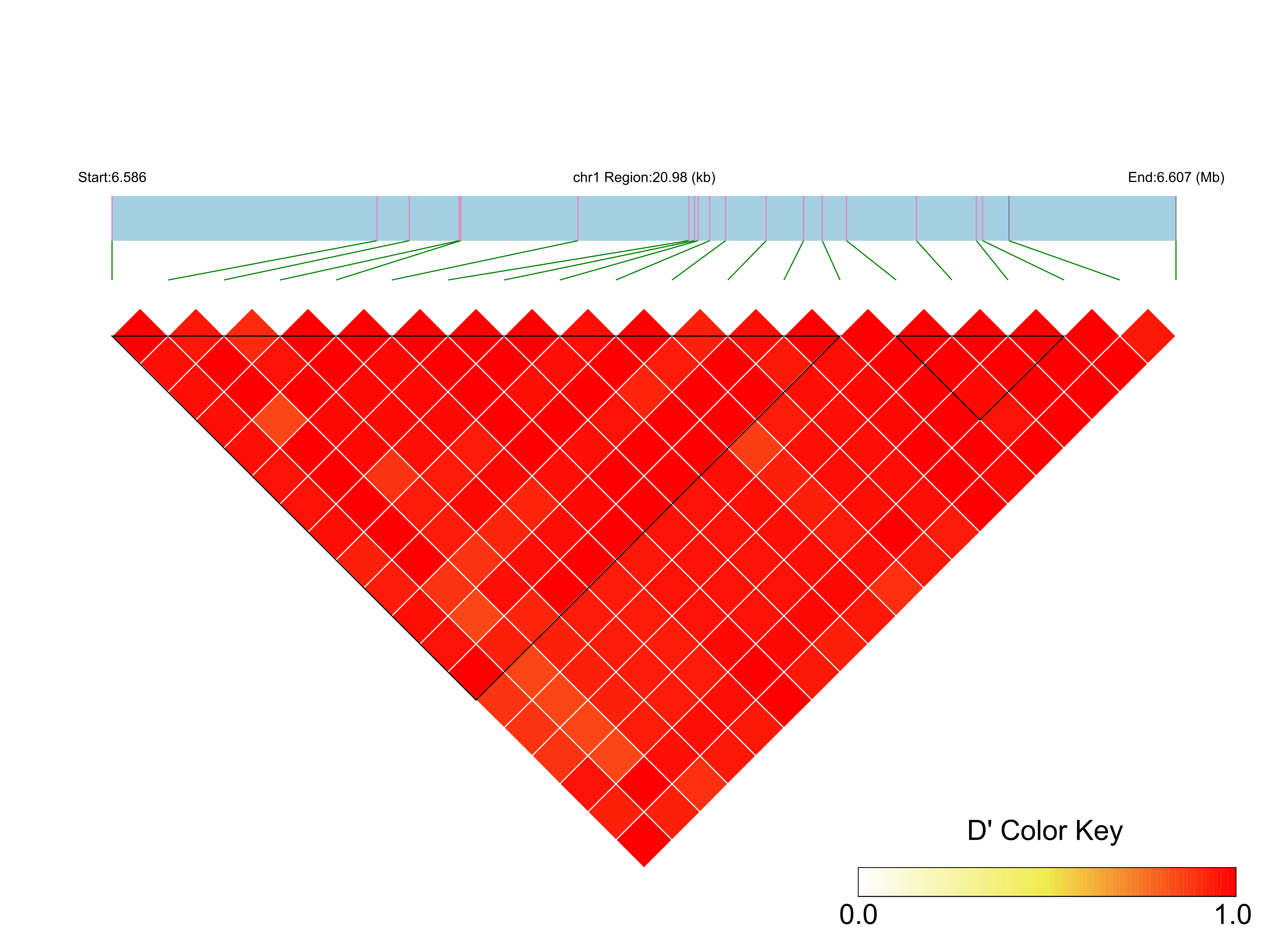 LD