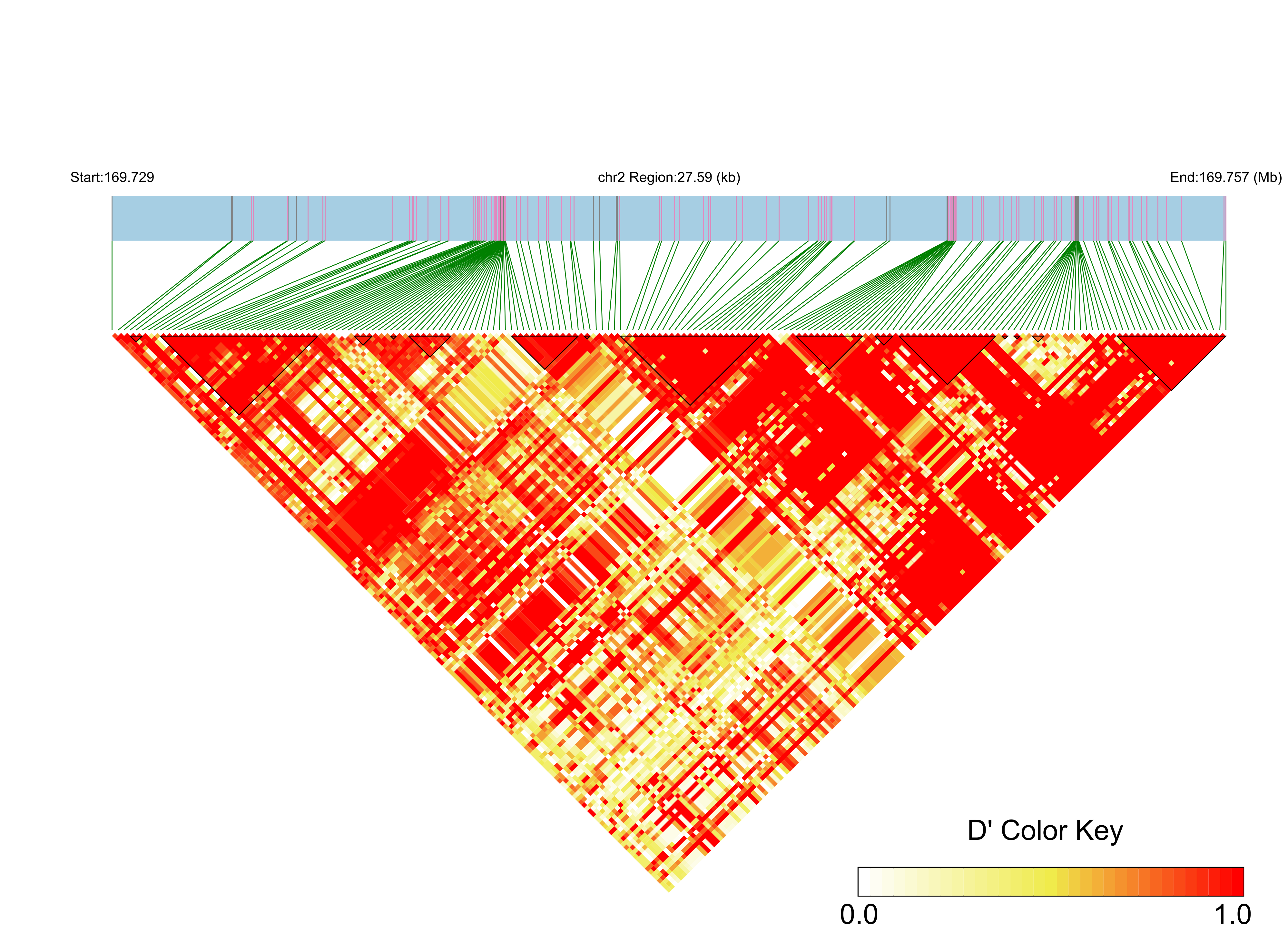 LD
