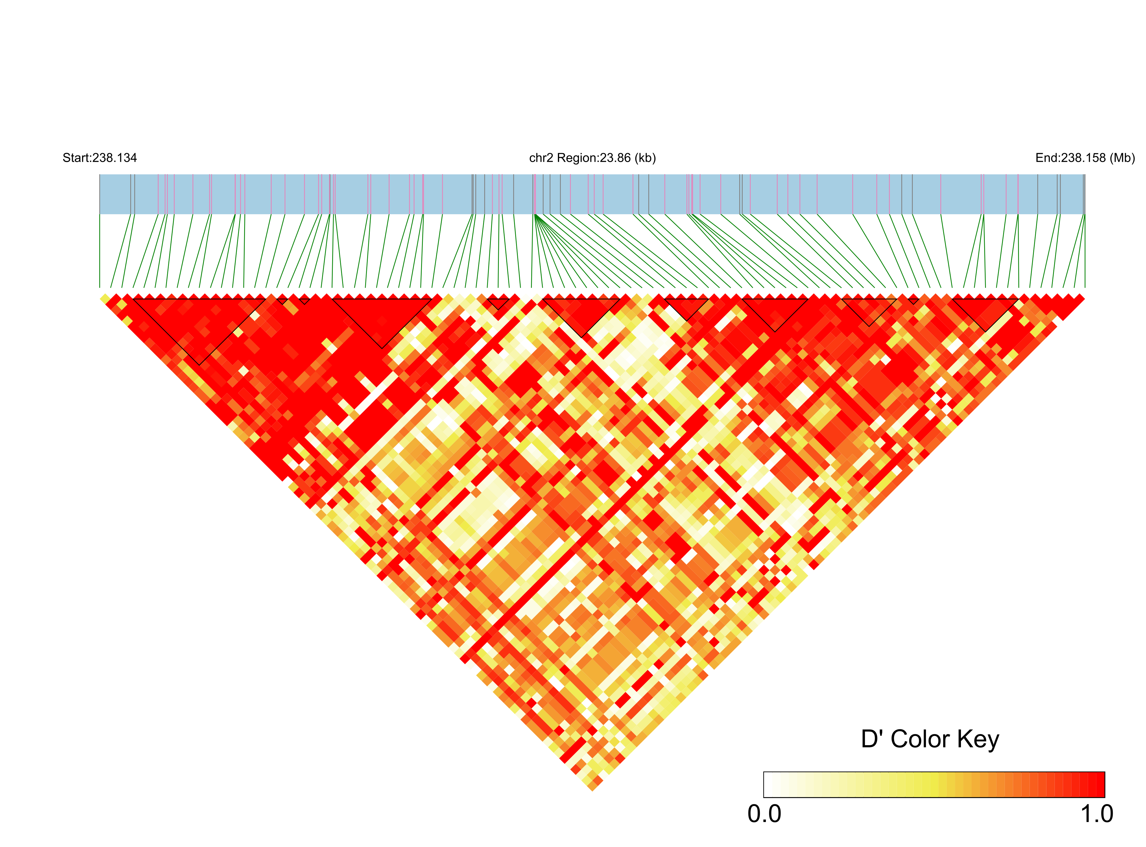 LD