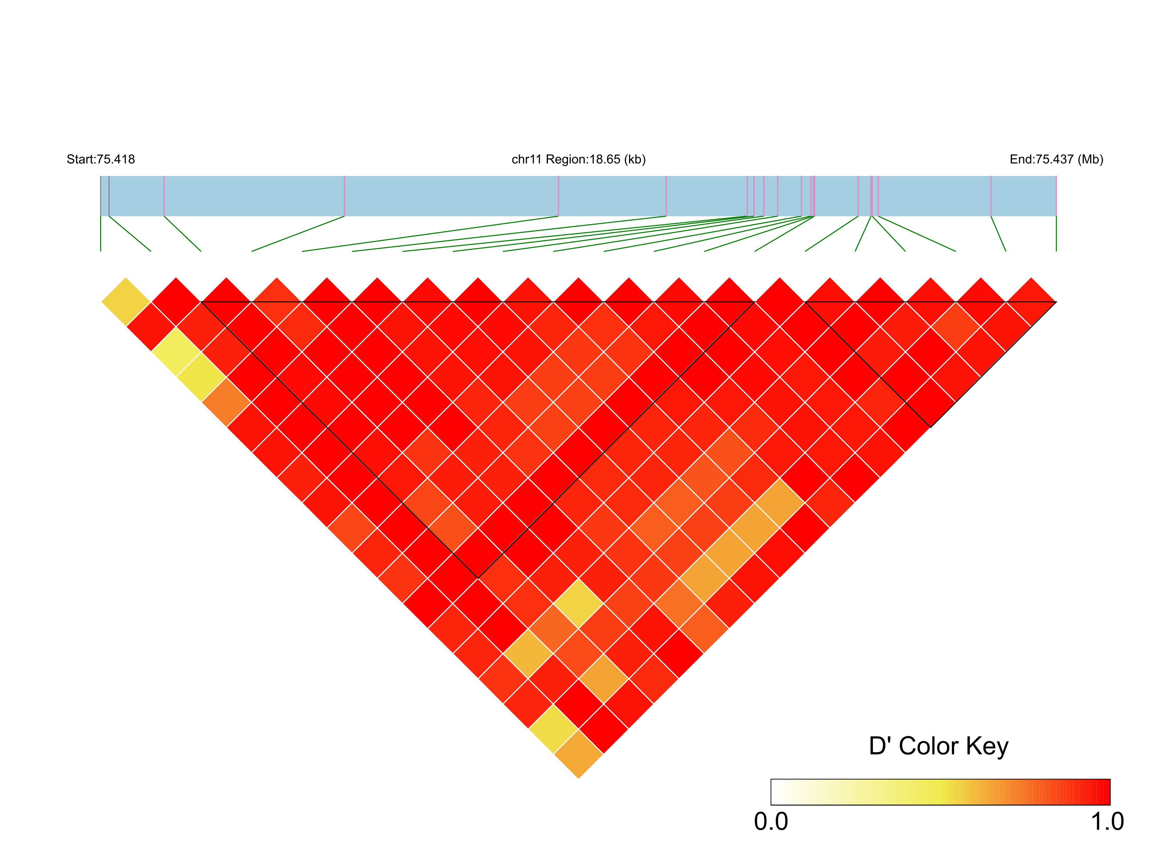 LD