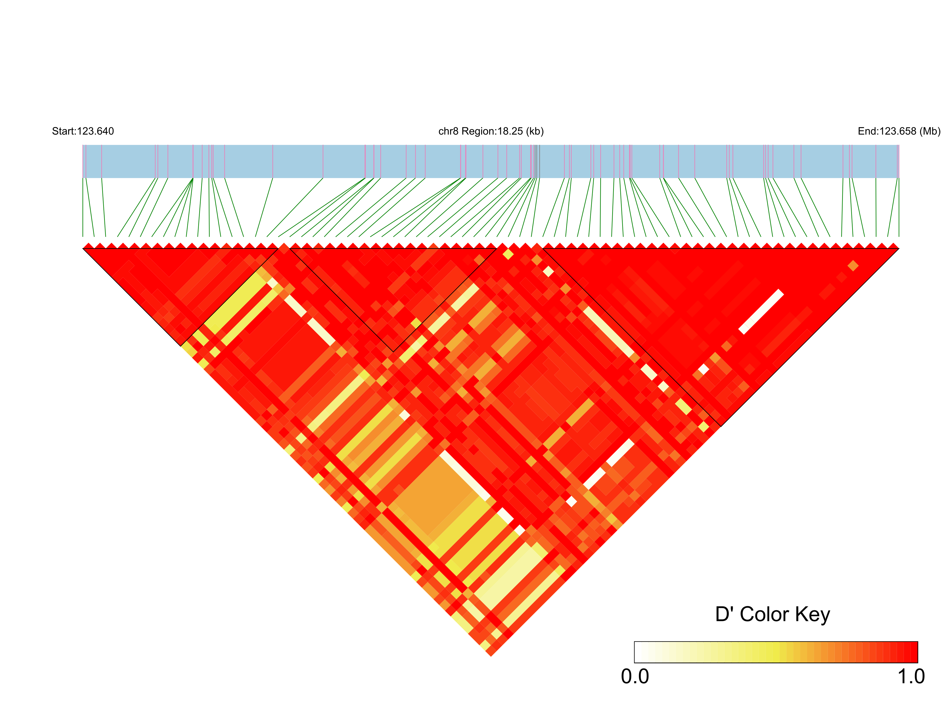LD