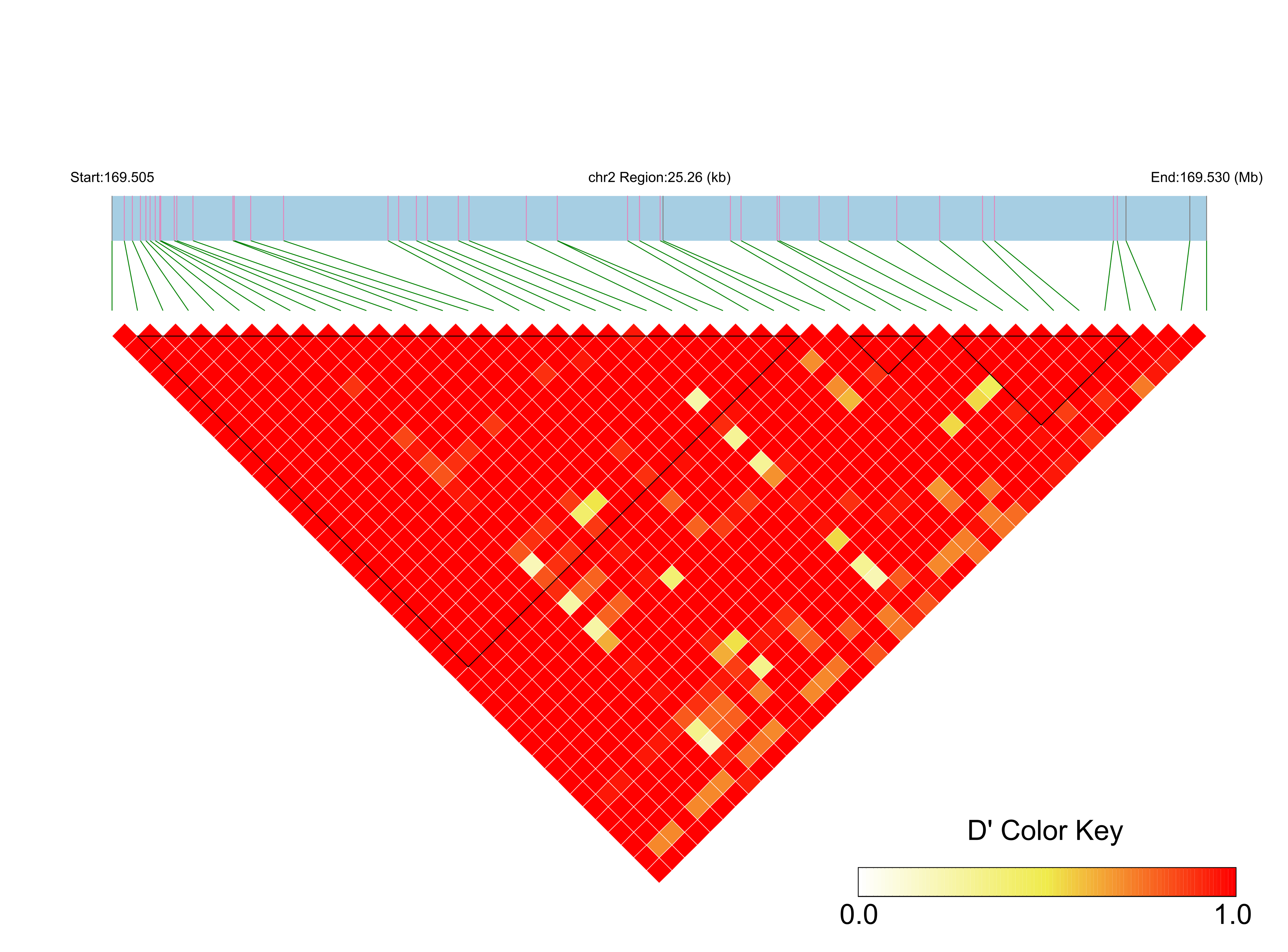 LD