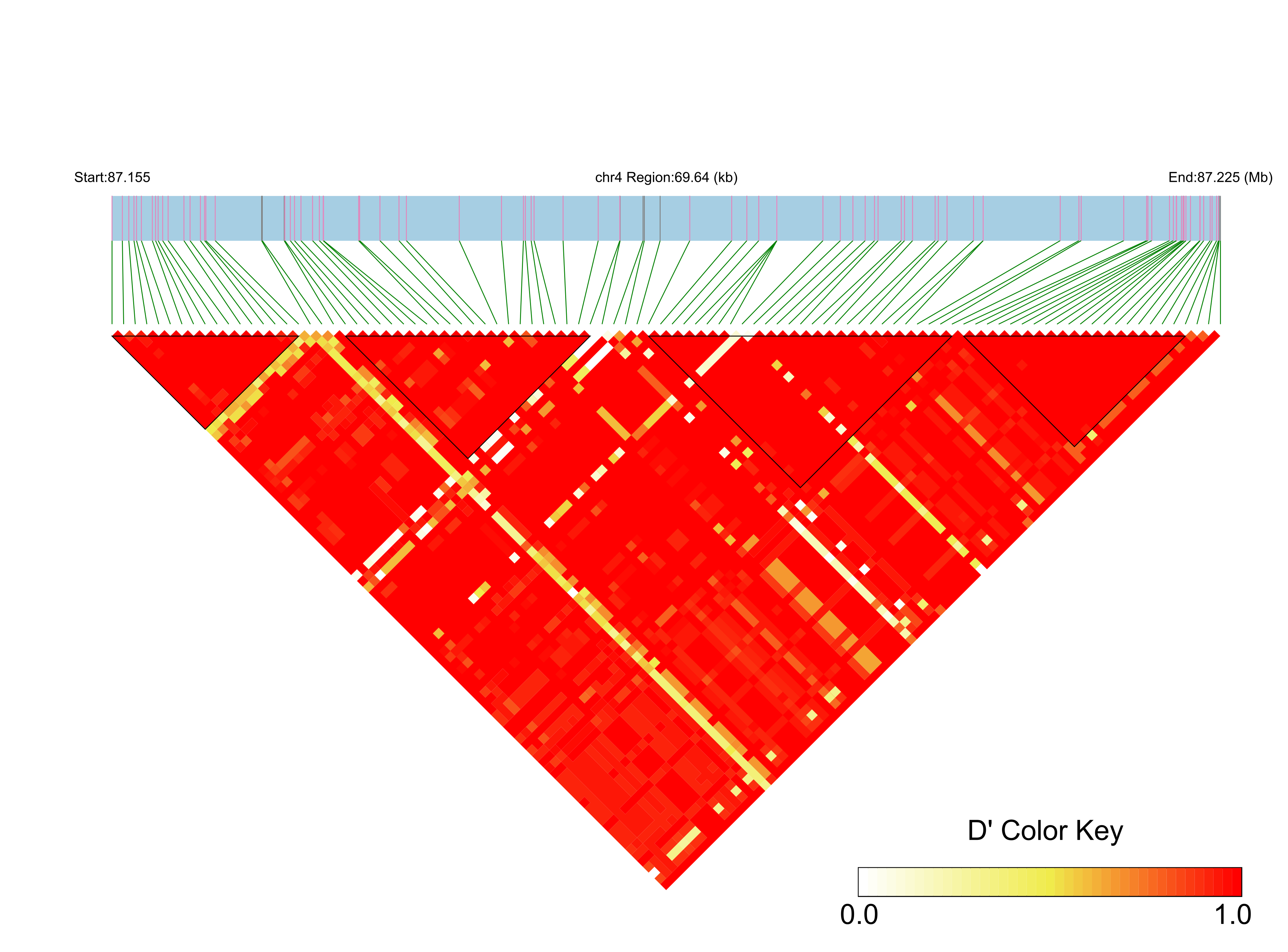 LD