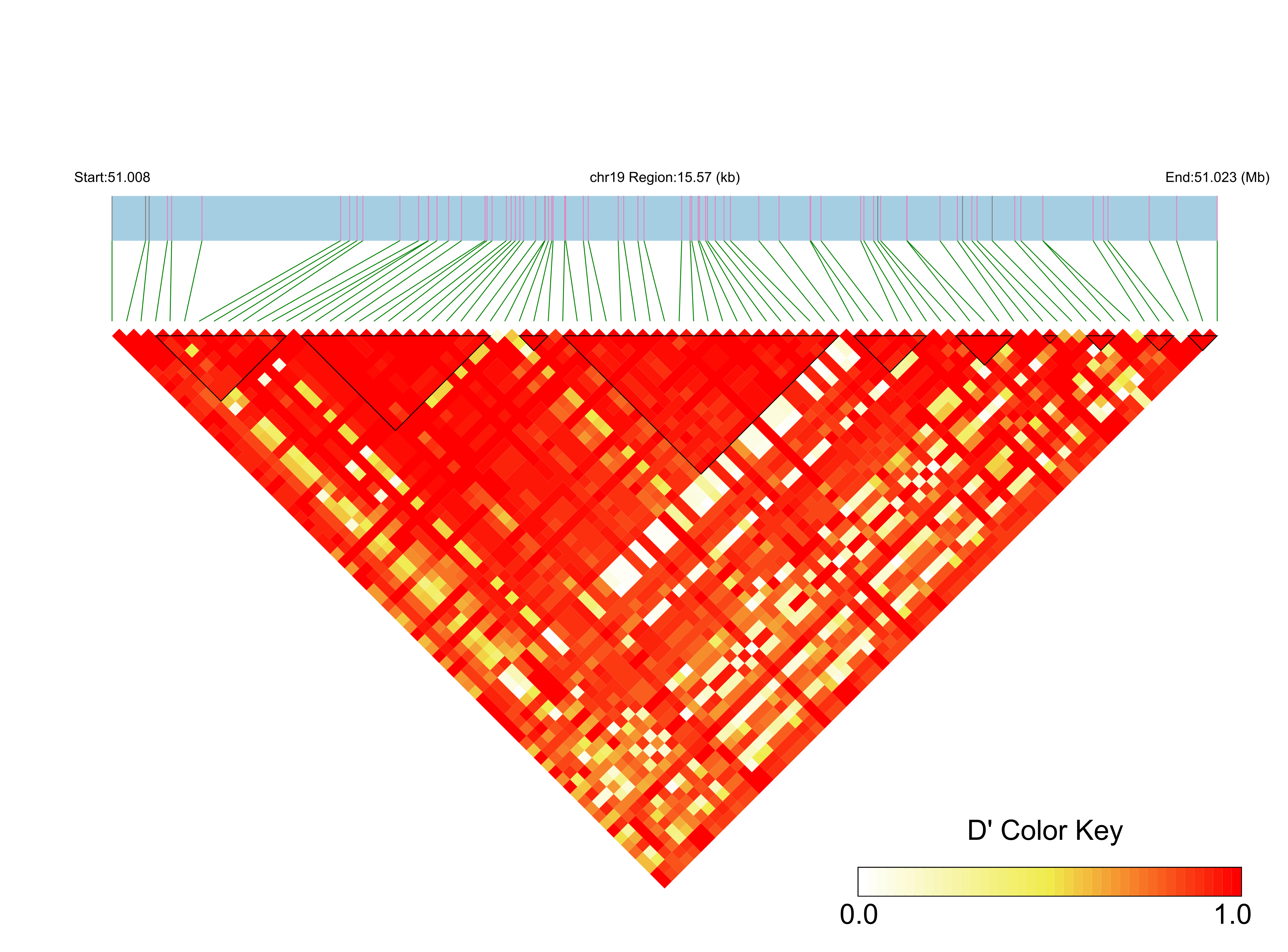LD