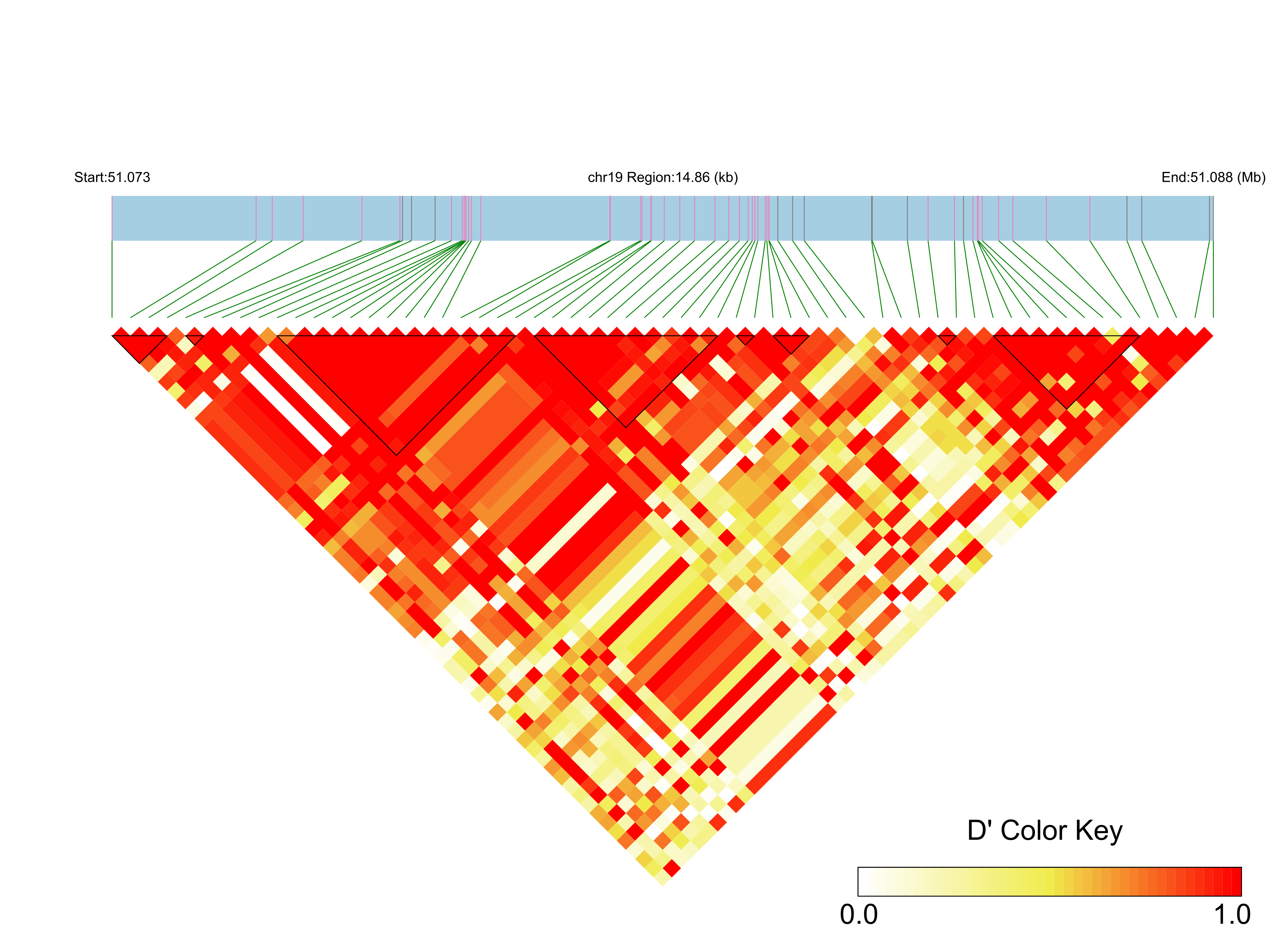 LD